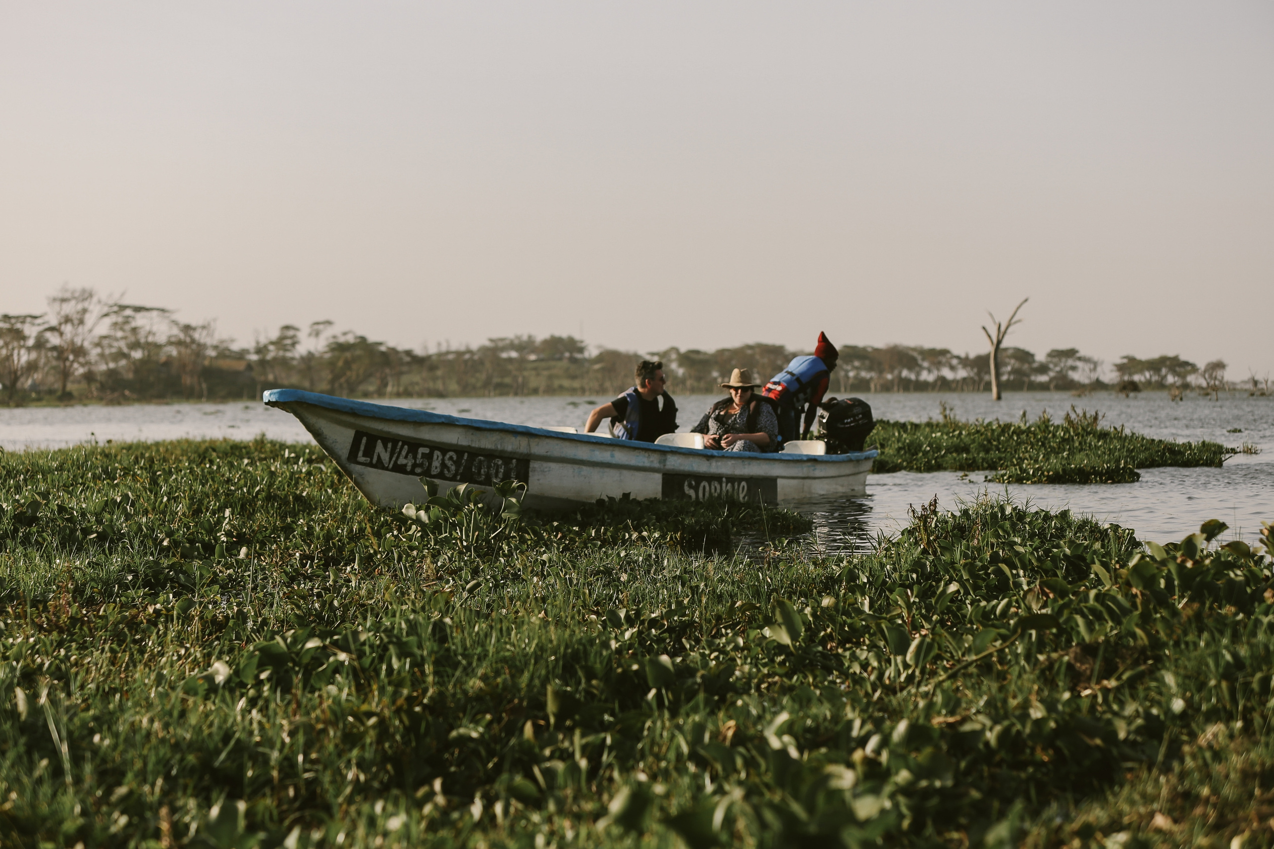 Kenya. Safari. Ekaterina Buneeva Photography
