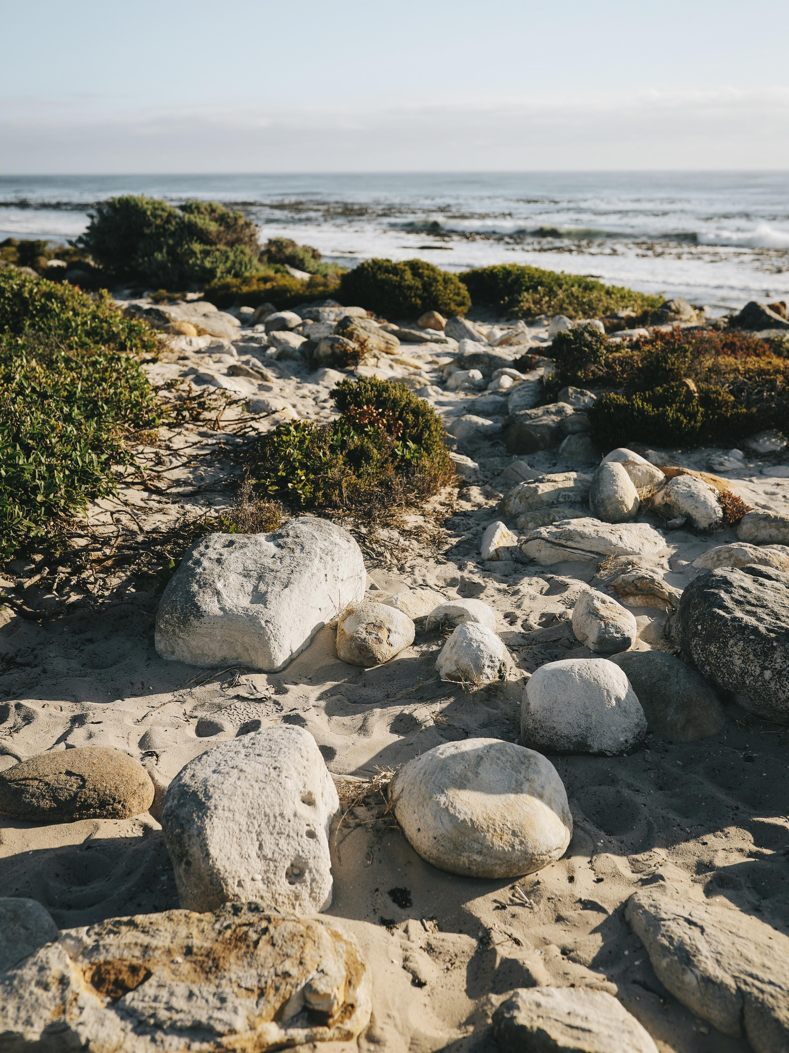 South Africa. Ekaterina Buneeva Photography