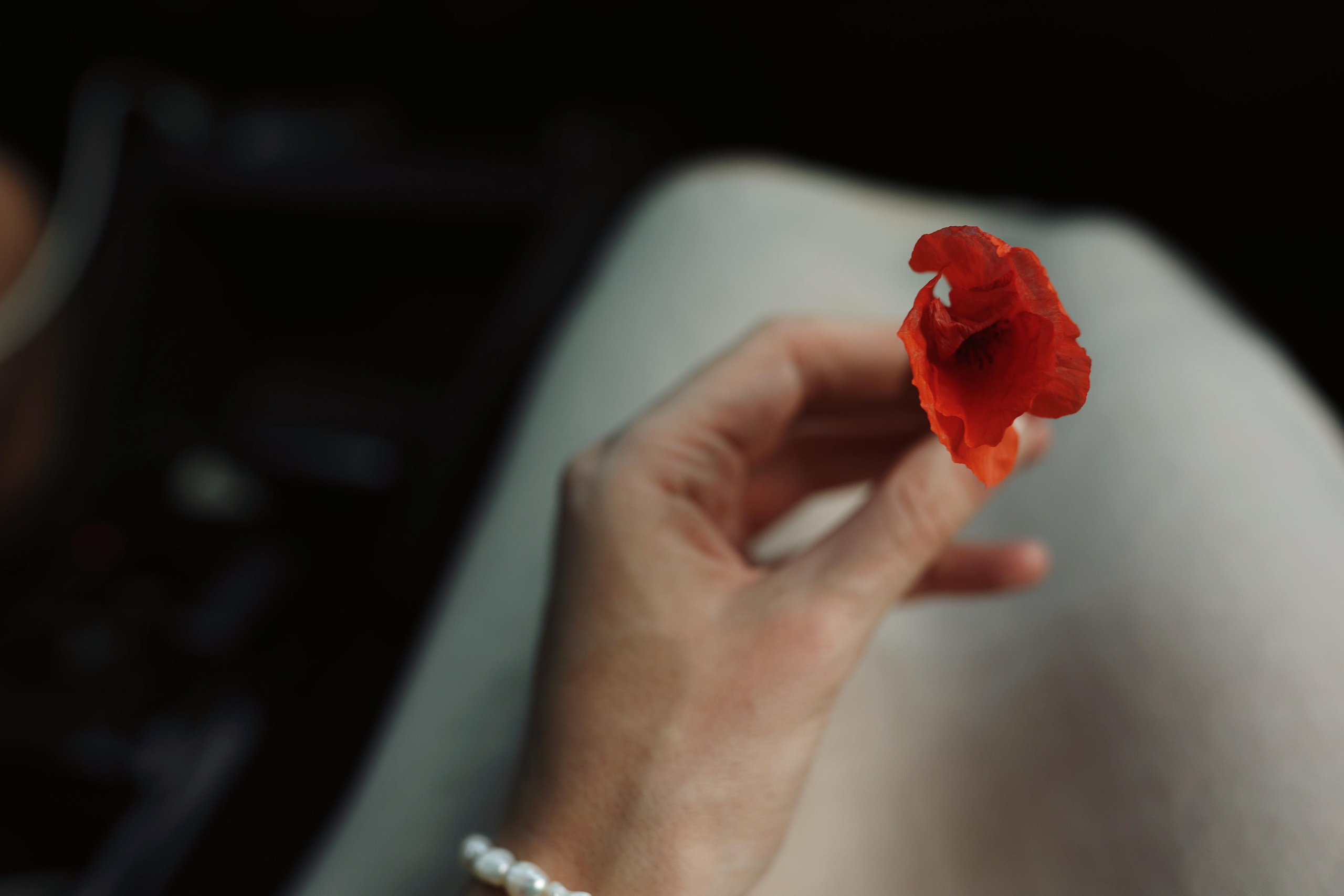 Italy. From Dolomites to Toscana. Ekaterina Buneeva Photography