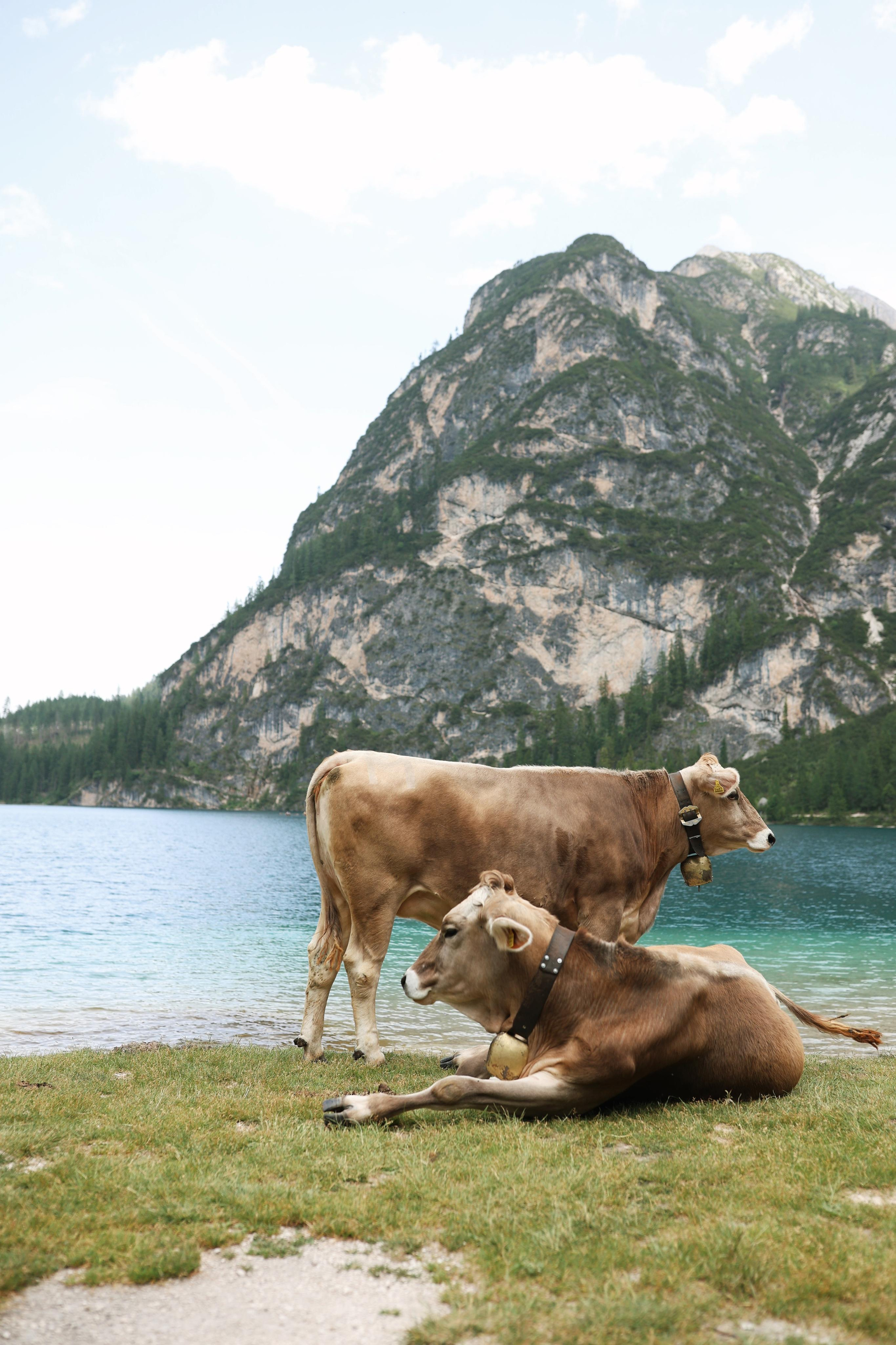 Italy. From Dolomites to Toscana. Ekaterina Buneeva Photography