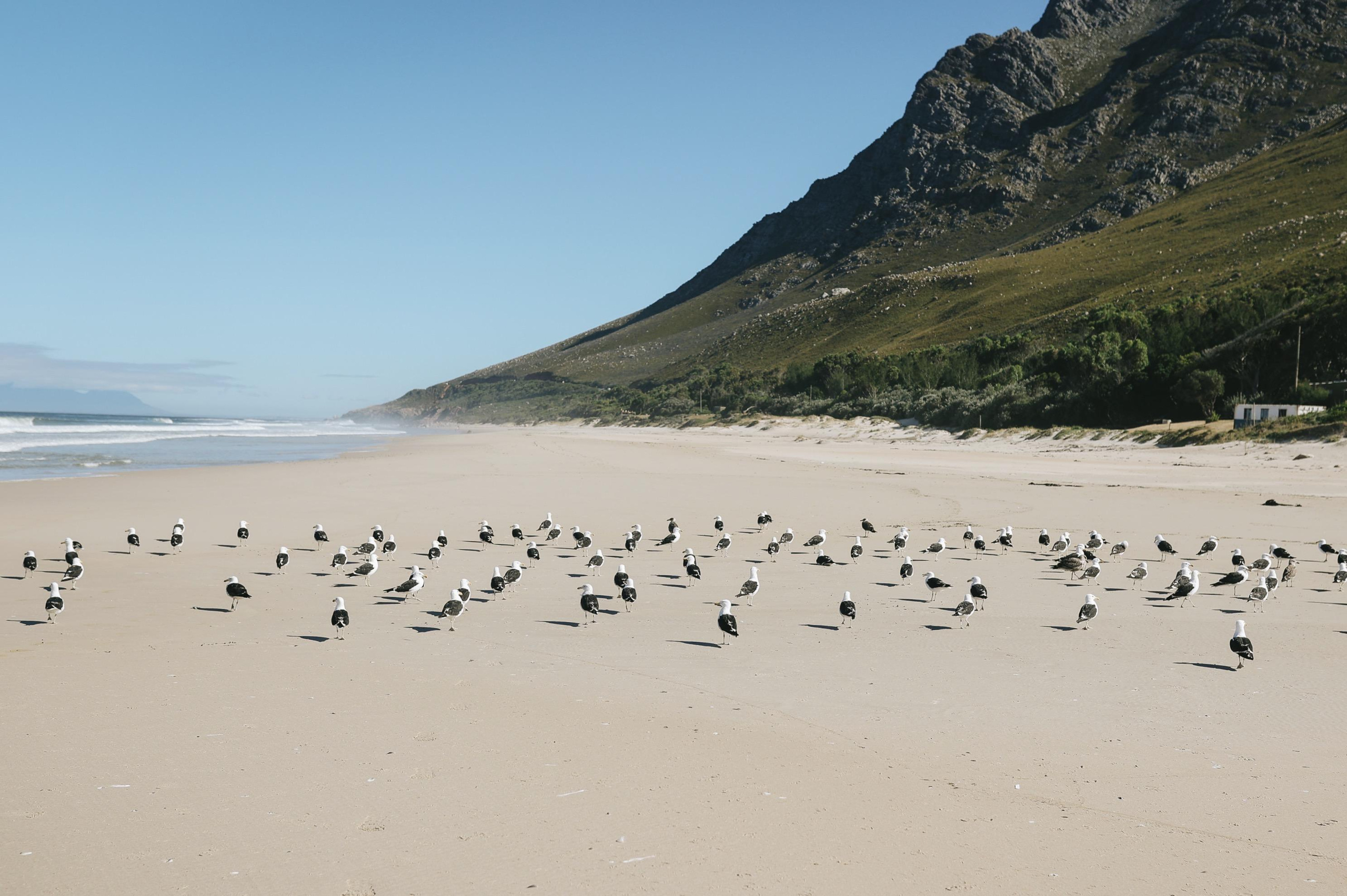 South Africa. Ekaterina Buneeva Photography