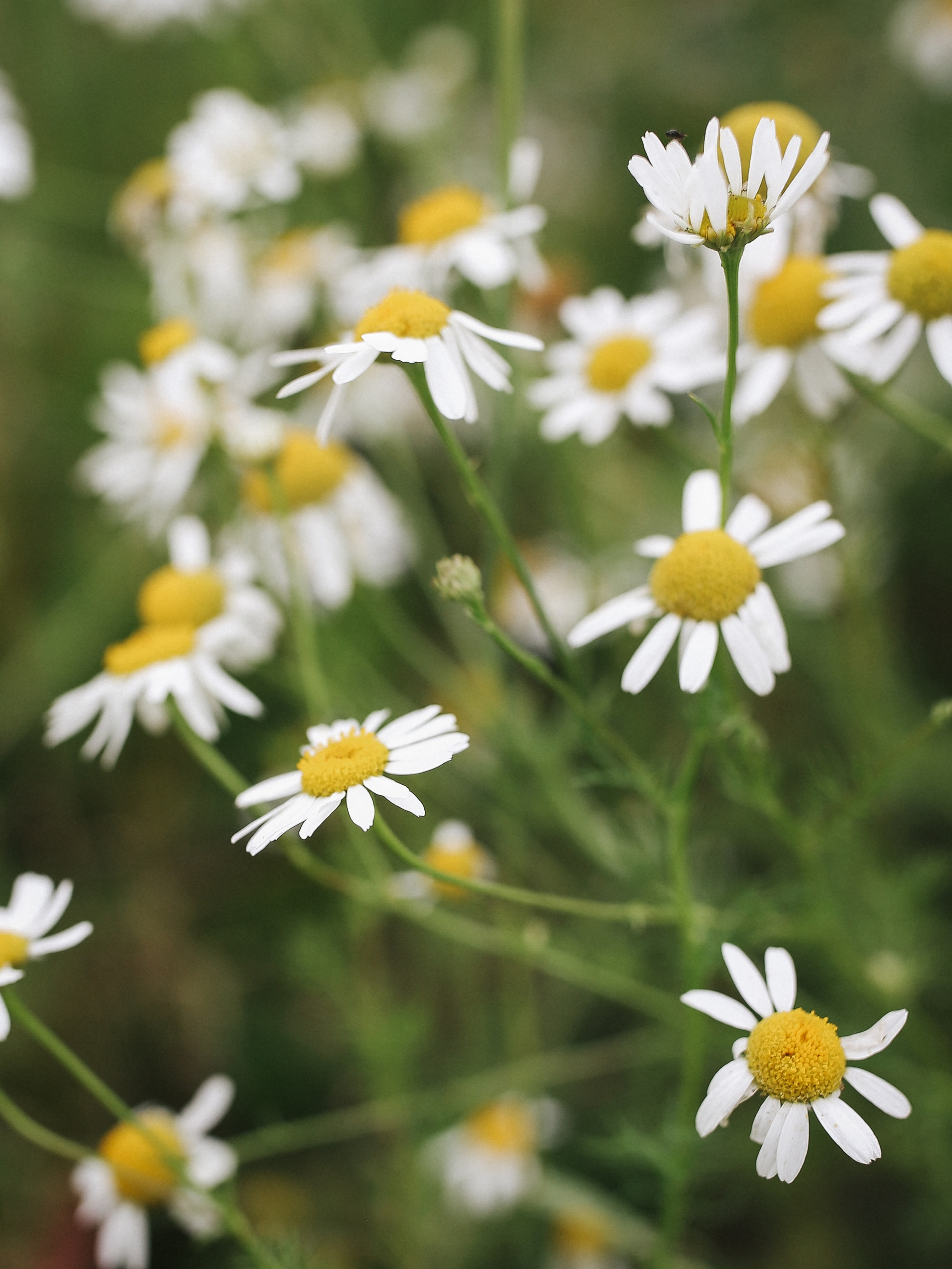 Ksenia, Misha, Leo. Ekaterina Buneeva Photography
