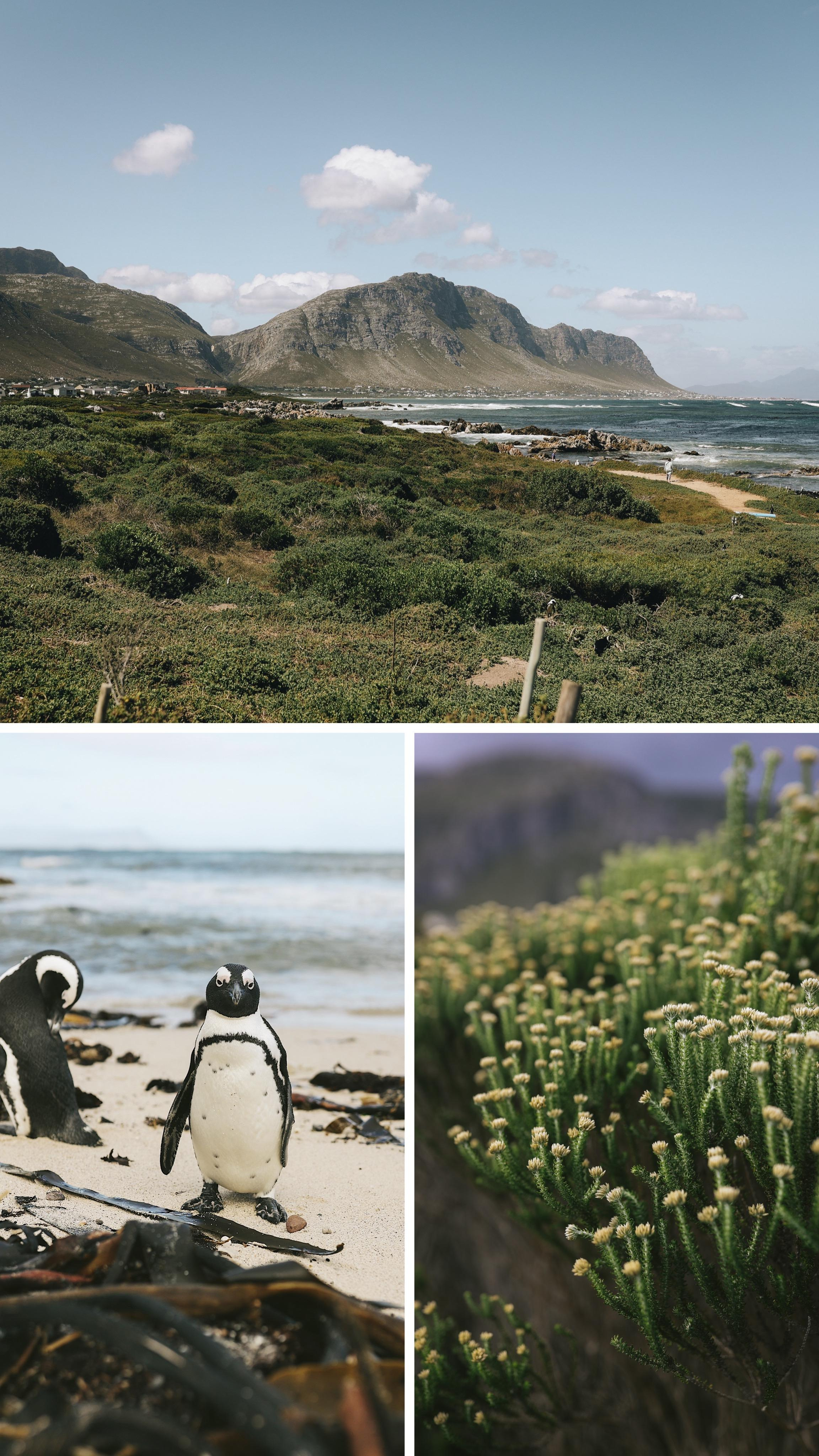 South Africa. Ekaterina Buneeva Photography