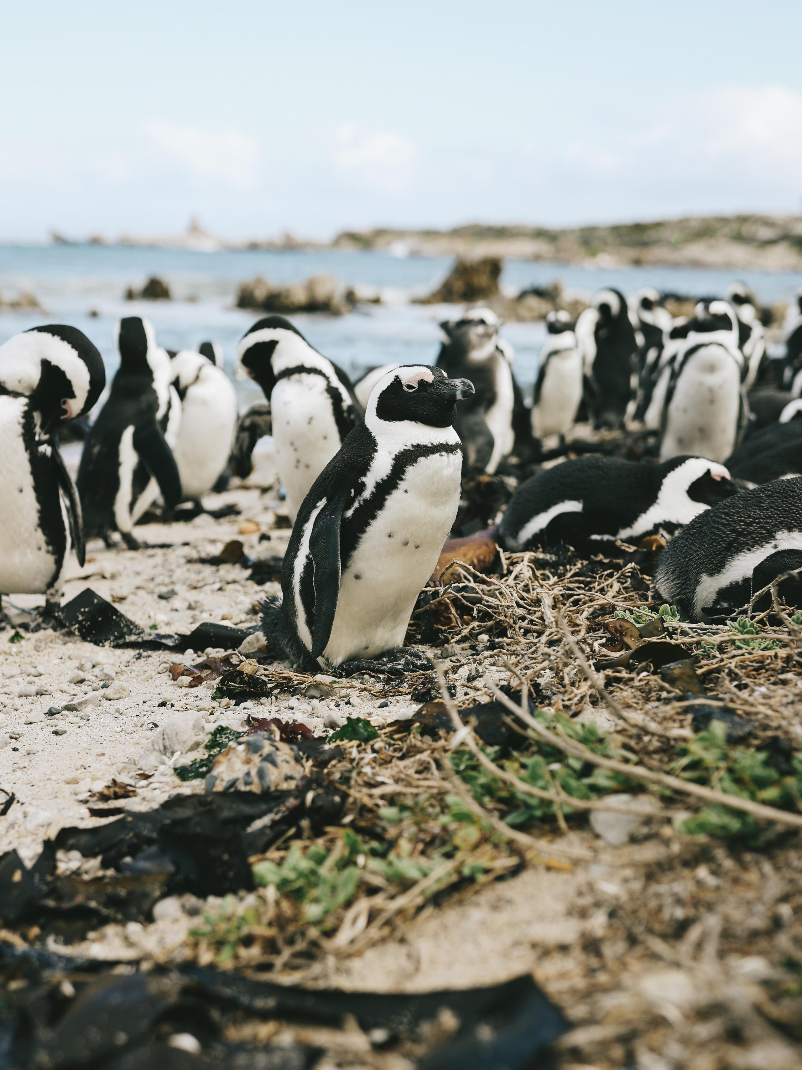 South Africa. Ekaterina Buneeva Photography