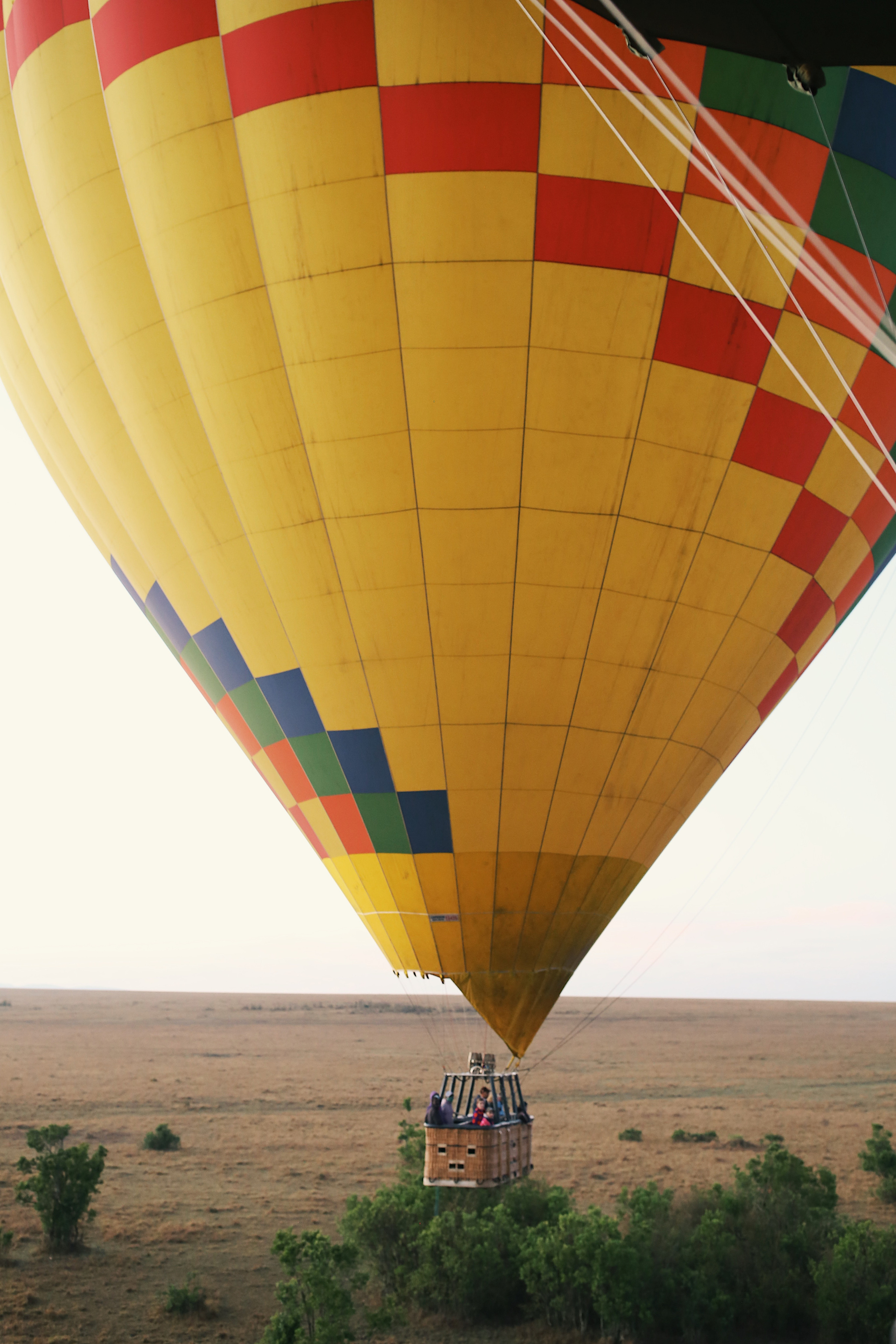 Kenya. Safari. Ekaterina Buneeva Photography