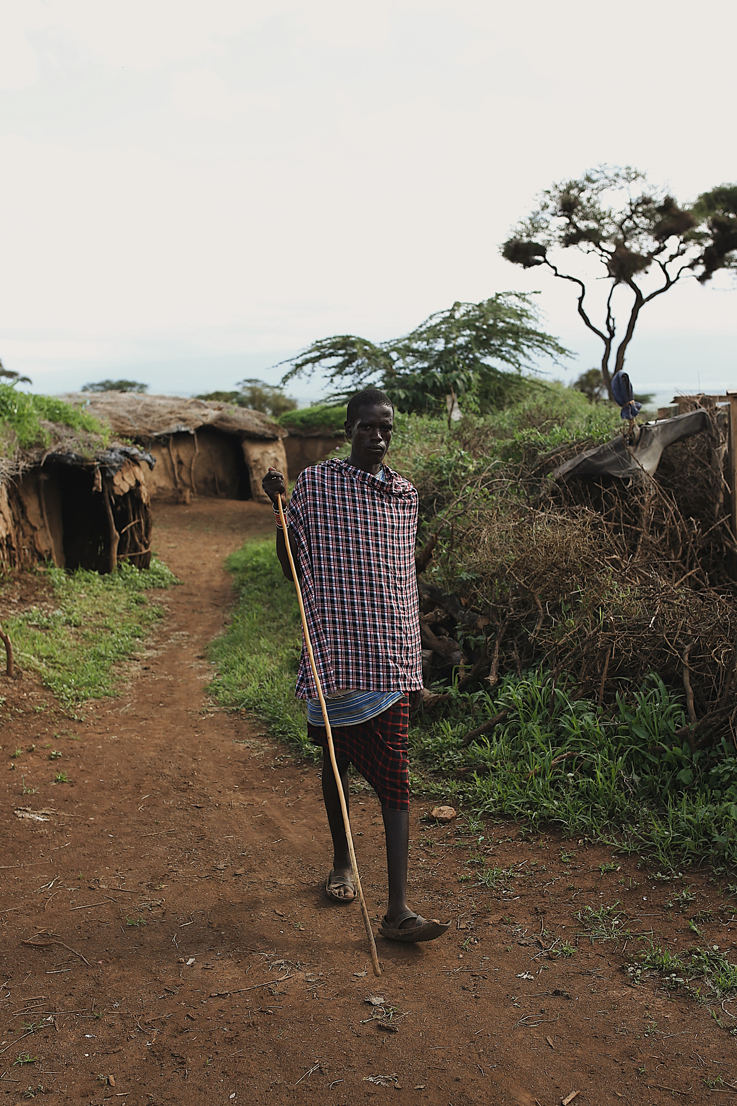 Kenya. Safari. Ekaterina Buneeva Photography