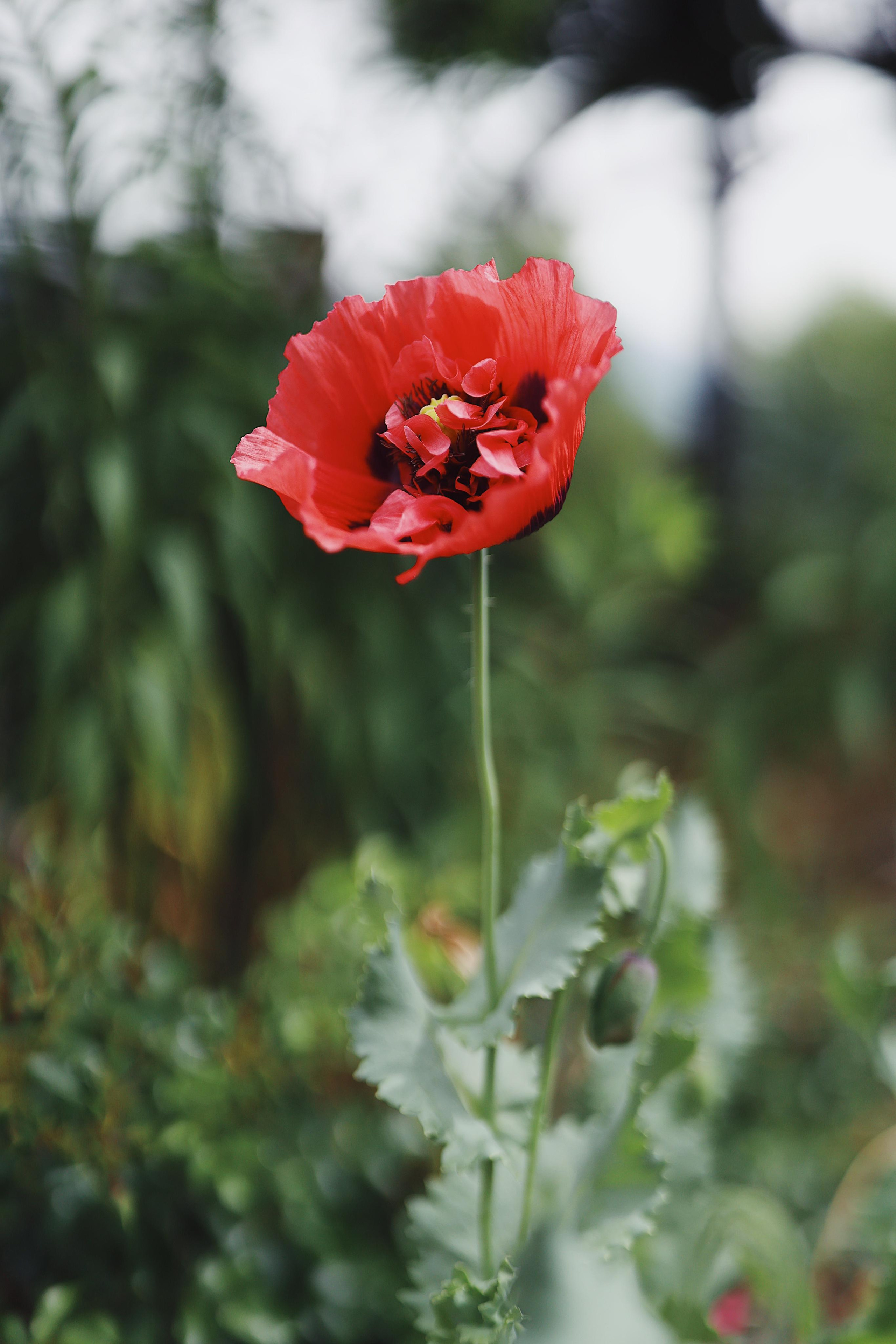 Italy. From Dolomites to Toscana. Ekaterina Buneeva Photography