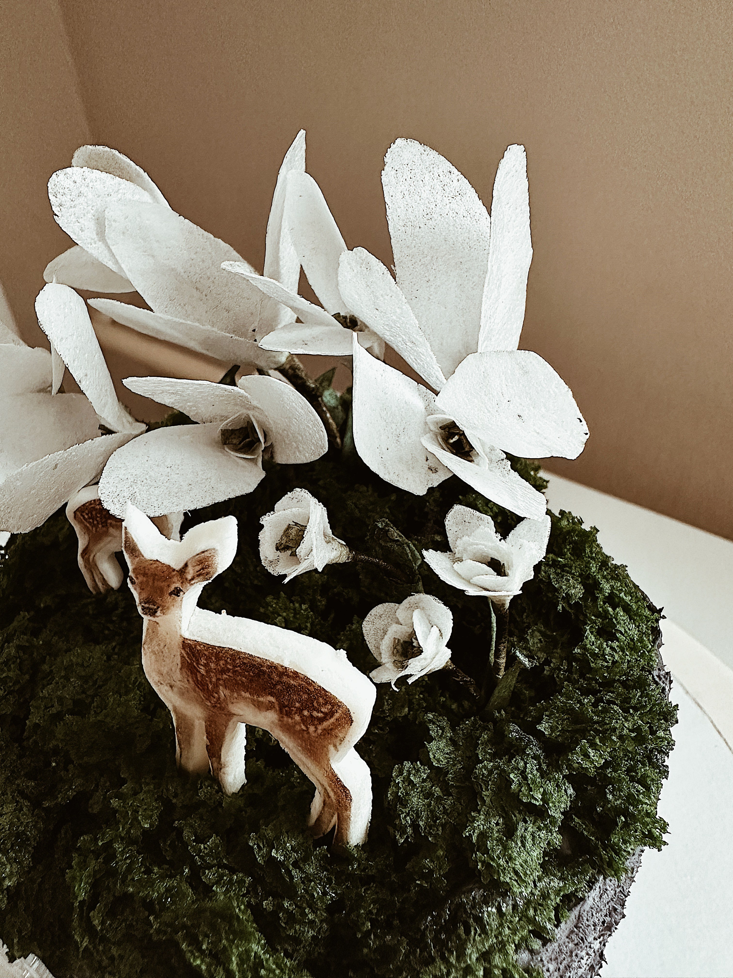 Торт Снежный шар. Арт-кондитер в Москве Маша Шафран