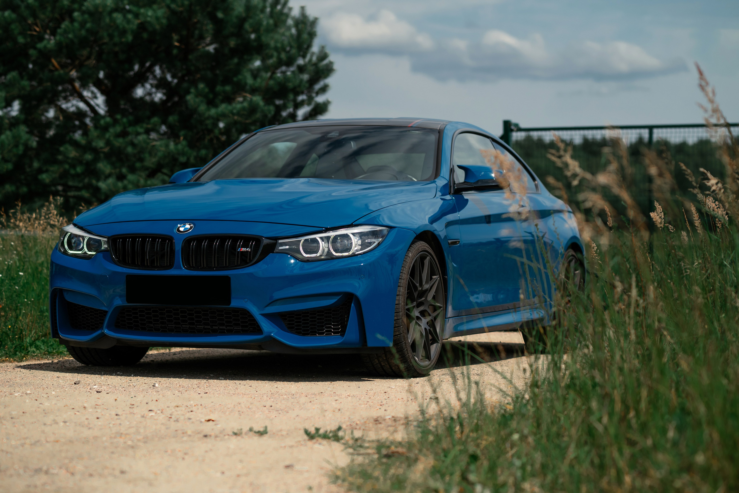 Bmw M4 Heritage Edition 1/750. DeLorein