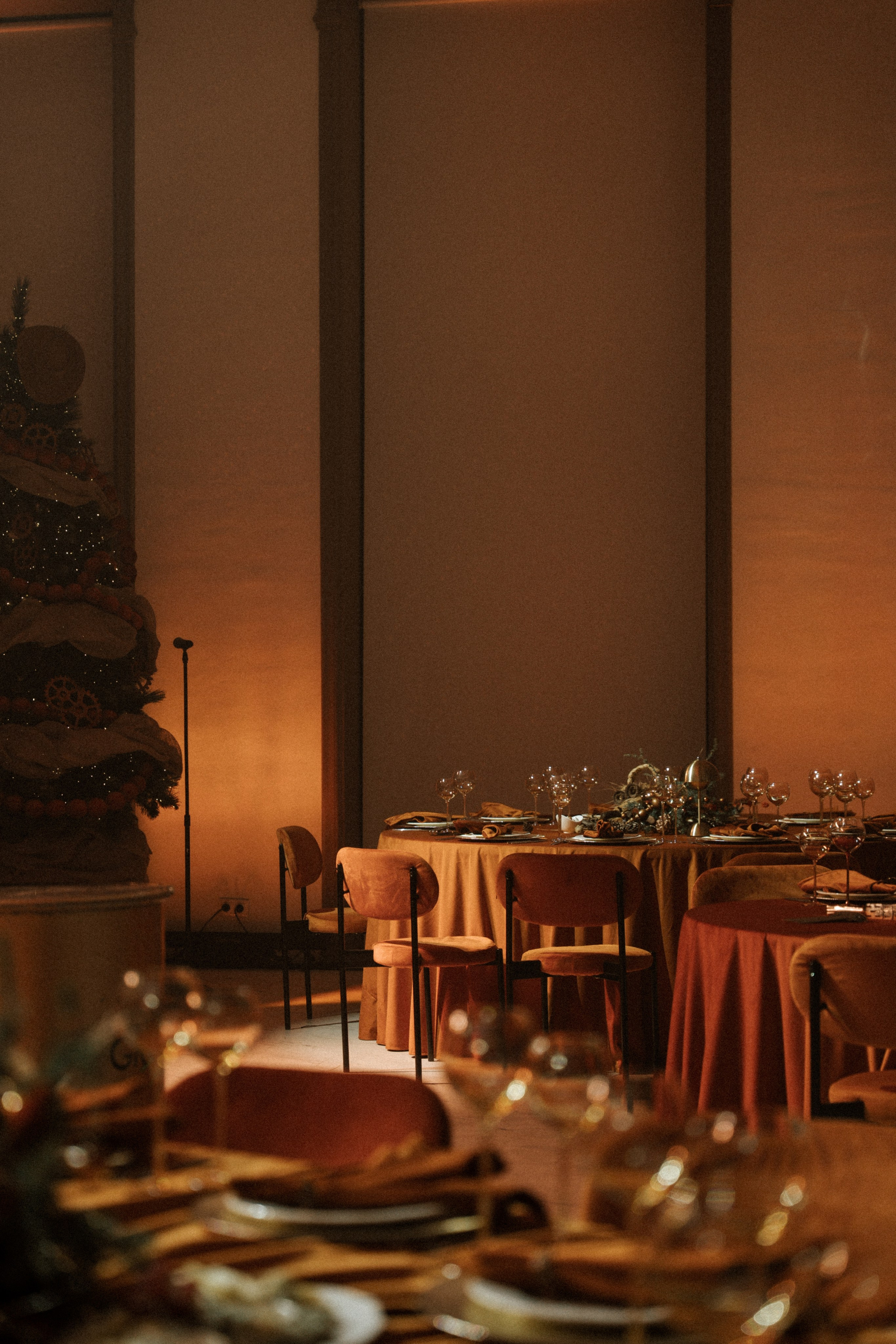 МЕДЬ ЗАПАДА | 19.12.2025 | г. Москва, Согласие Холл. МашаШарики | Декоратор | Москва