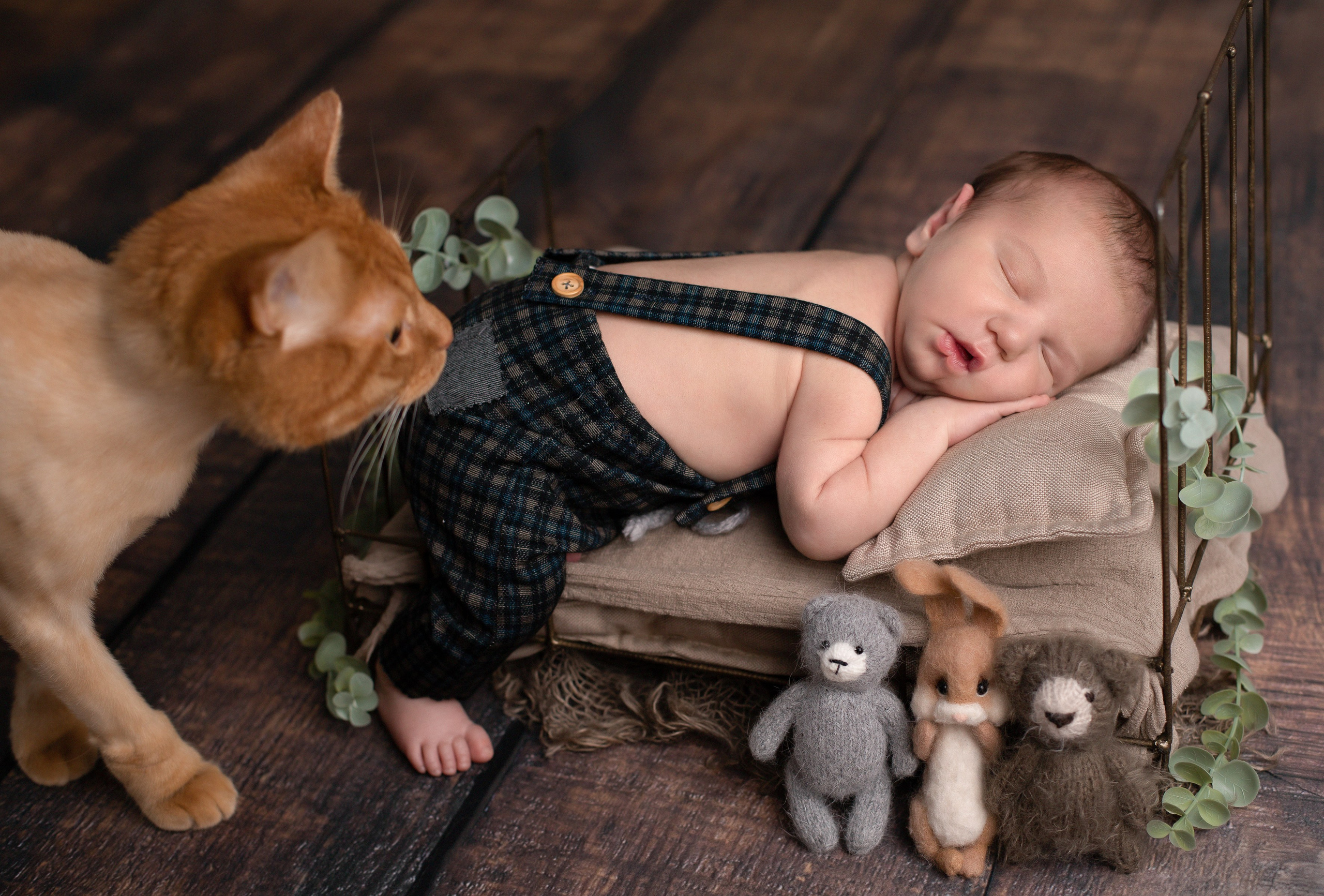 Новорожденные мальчики. Фотограф новорожденных в Нижнем Новгороде Белякова Оксана