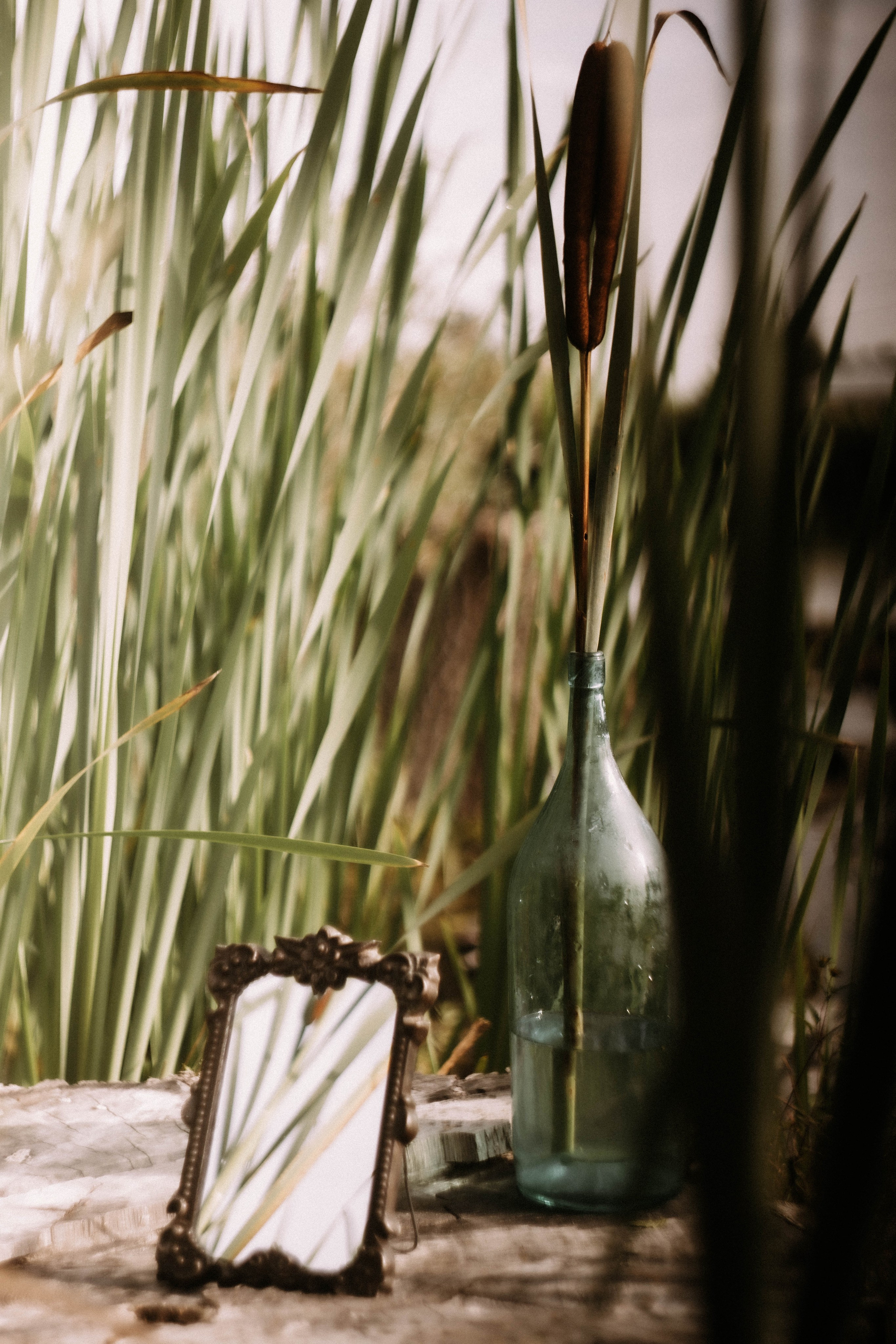 Жанна. Болото.Рогоз. Фотограф в Нижнем Новгороде