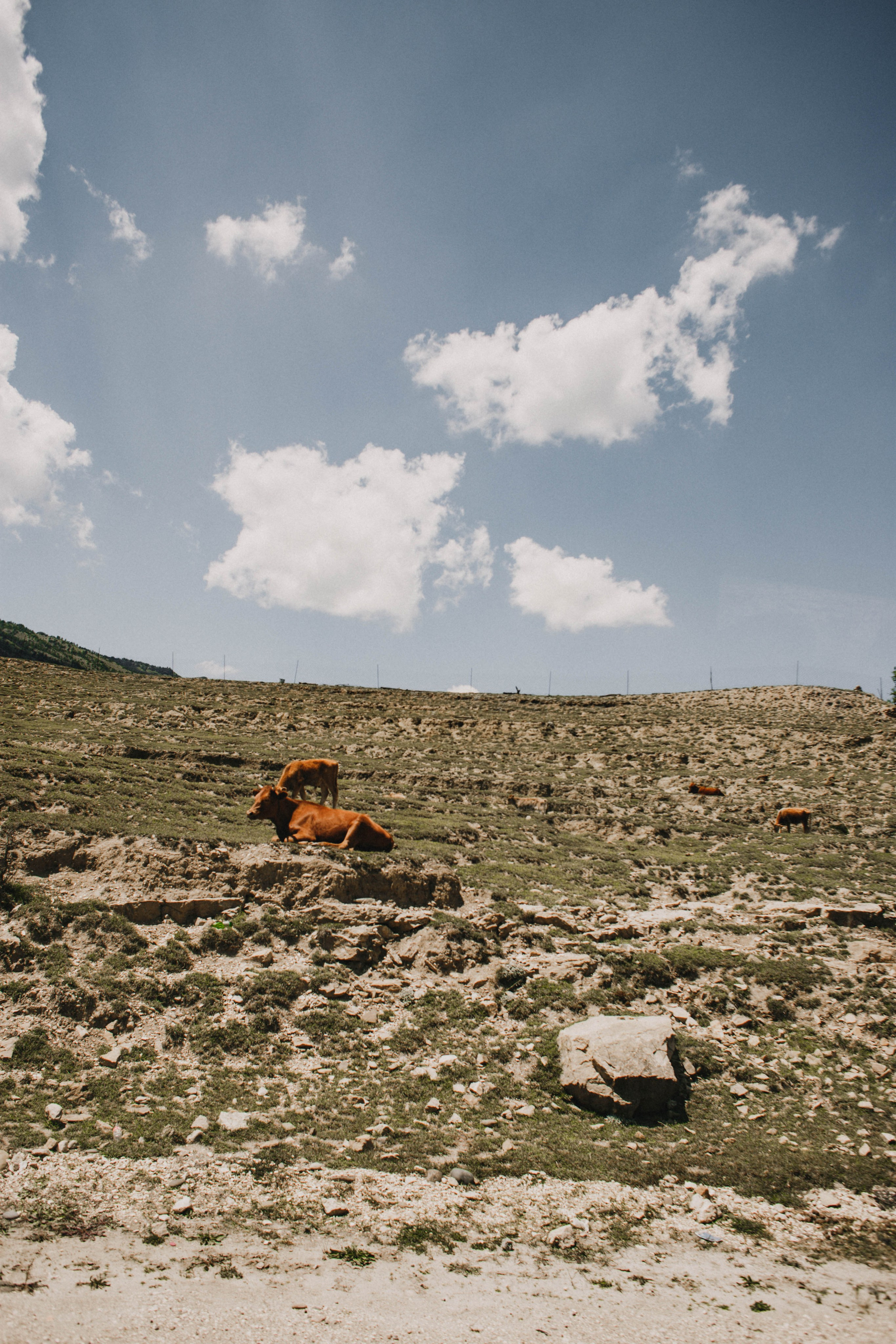 Дагестан. Чечня. 2024. Фотограф в Нижнем Новгороде