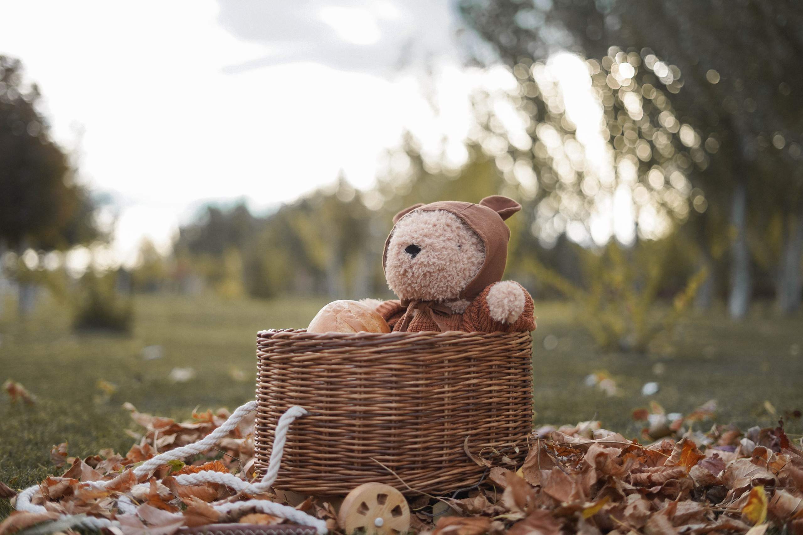 Осенние прогулки. Фотограф Волгоград Анастасия Ли