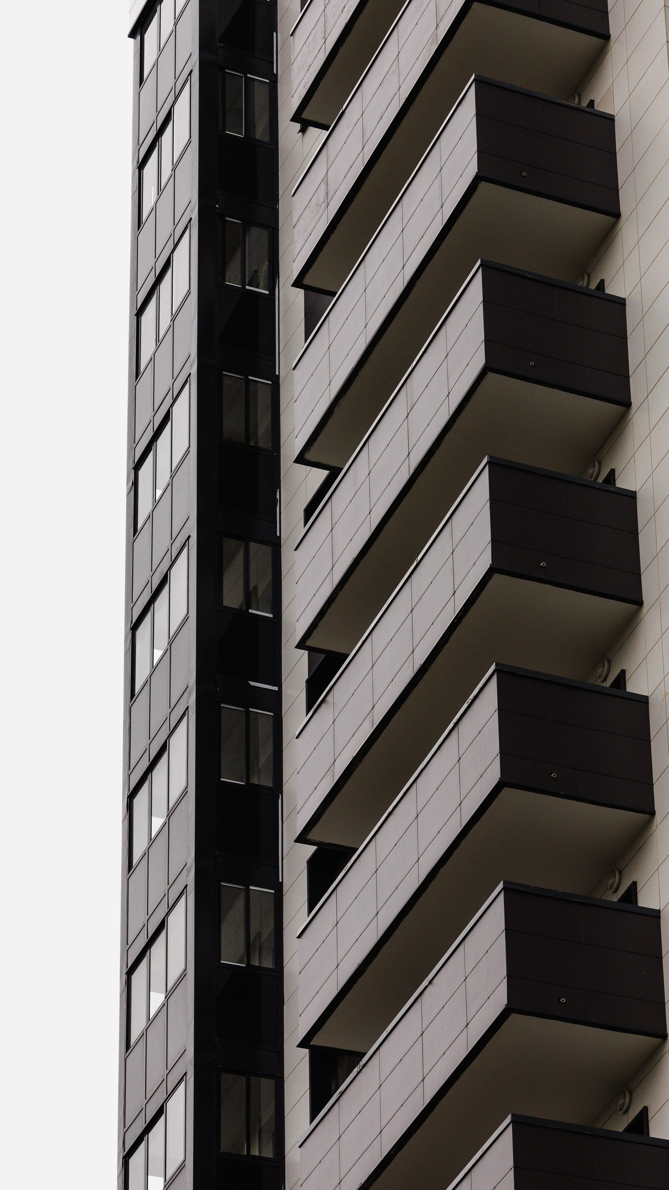 РЕНОВАЦИЯ — МОЛОДЦОВА 25. АЛТ Портфолио