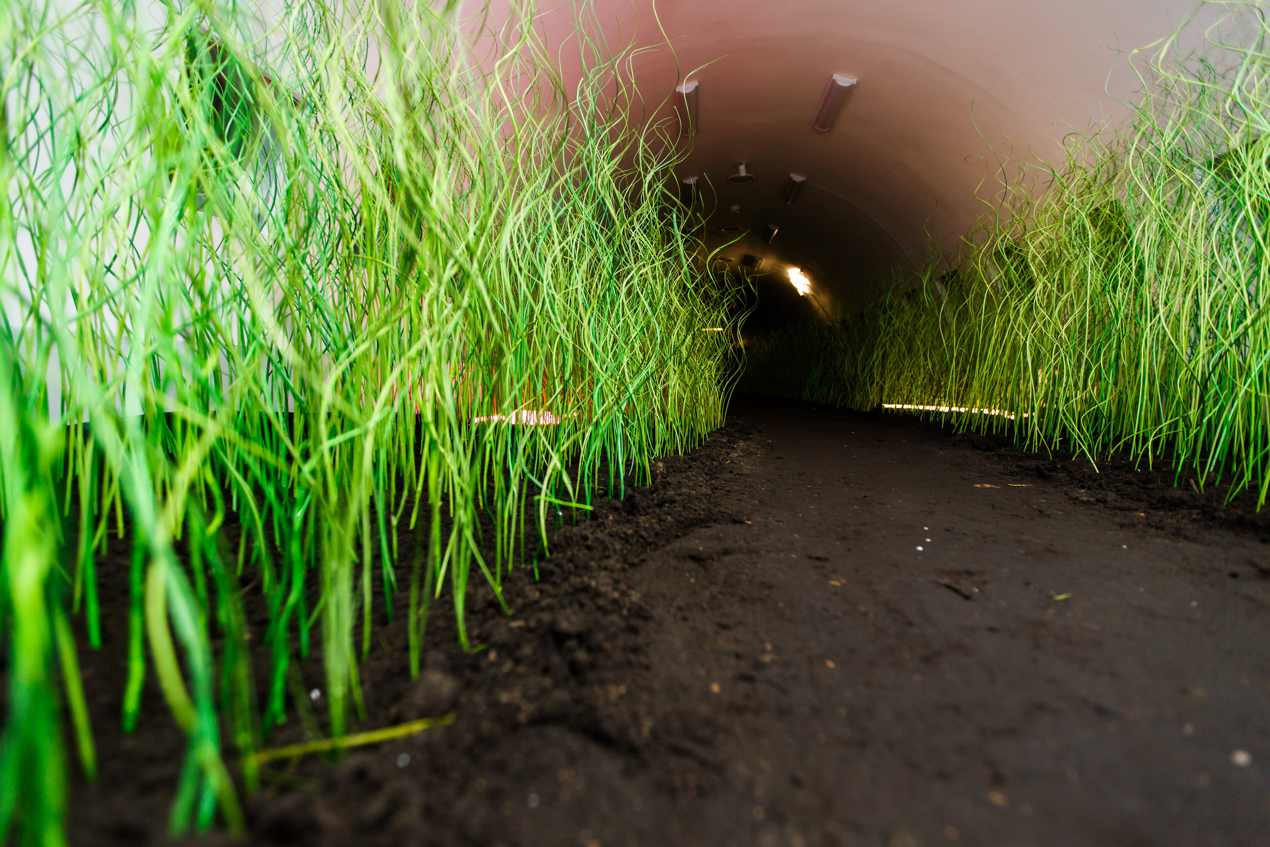 76. Фотограф Недорез Александр в Москве. Репортаж на ваших мероприятиях