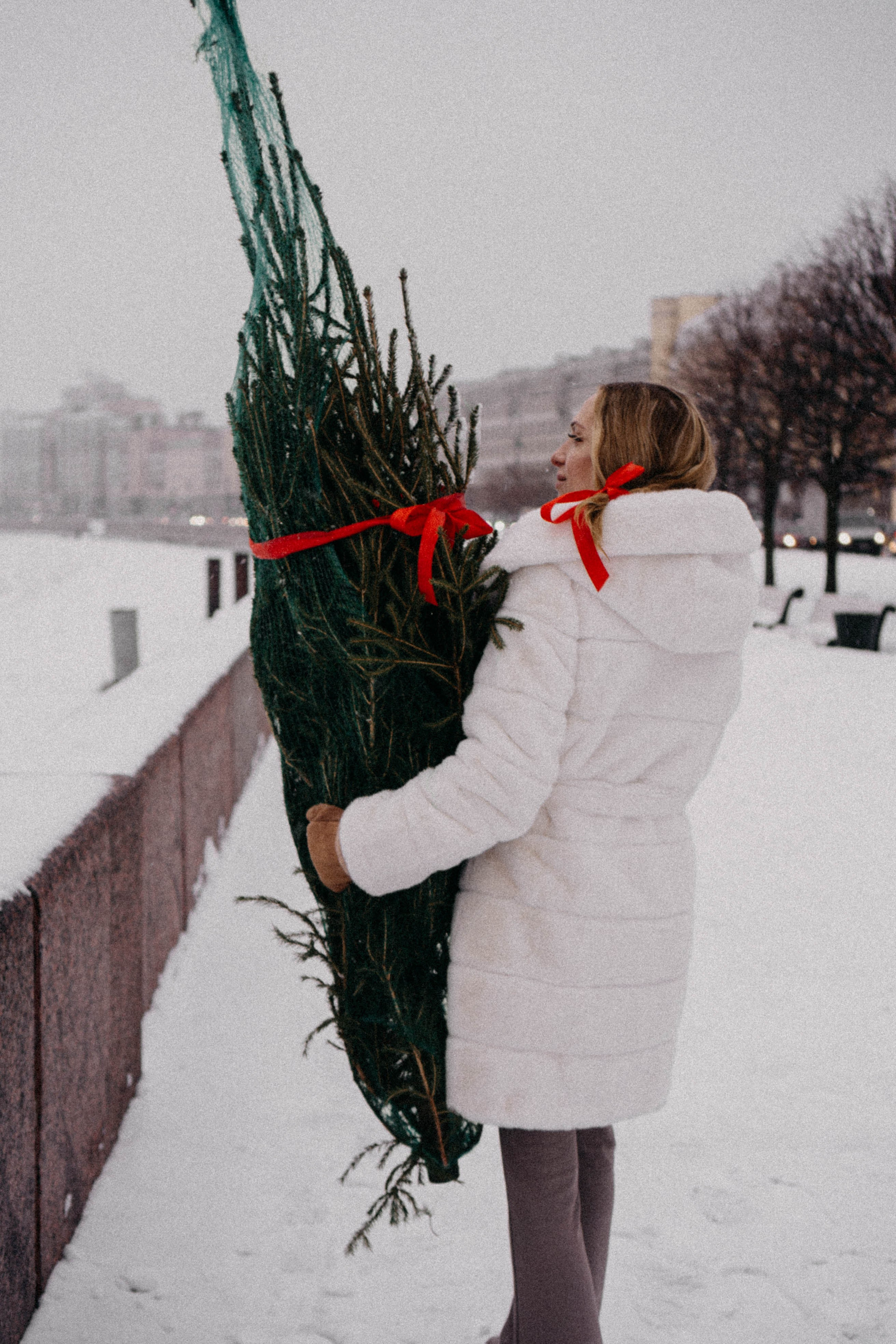 Новогодняя. Профессиональный фотограф, Санкт-Петербург — Виктория Богомолова