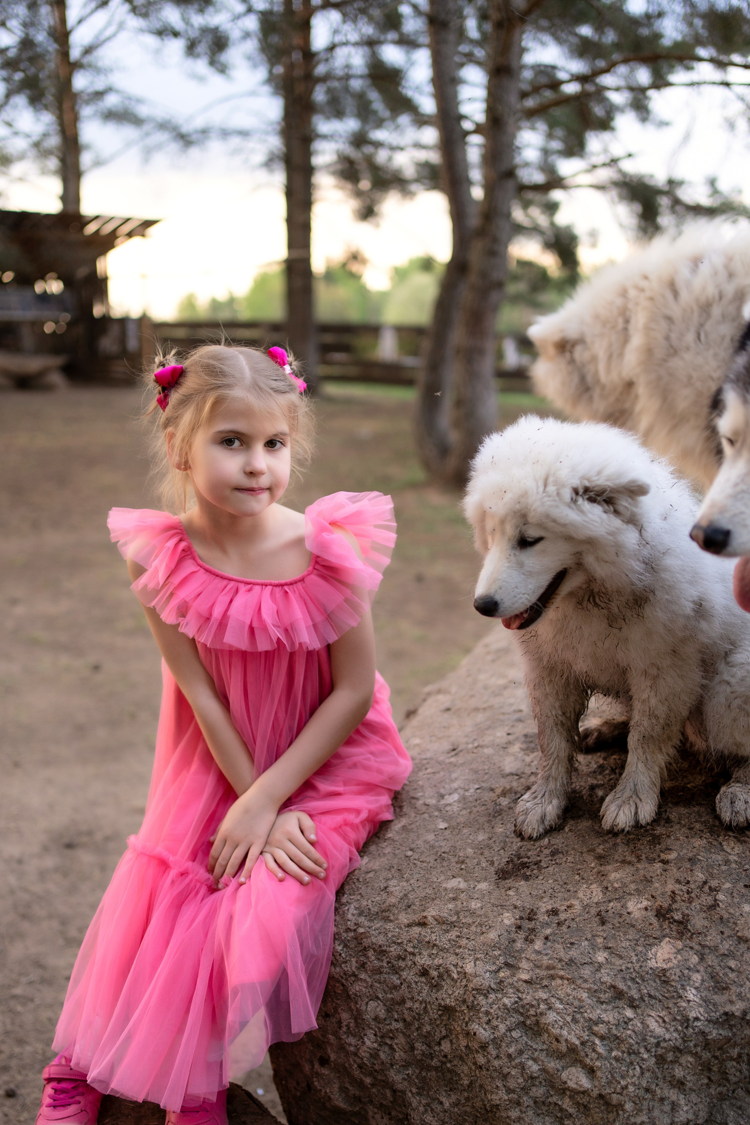 Хаски парк. Семейный и свадебный фотограф Минск, Беларусь Анна Орловская
