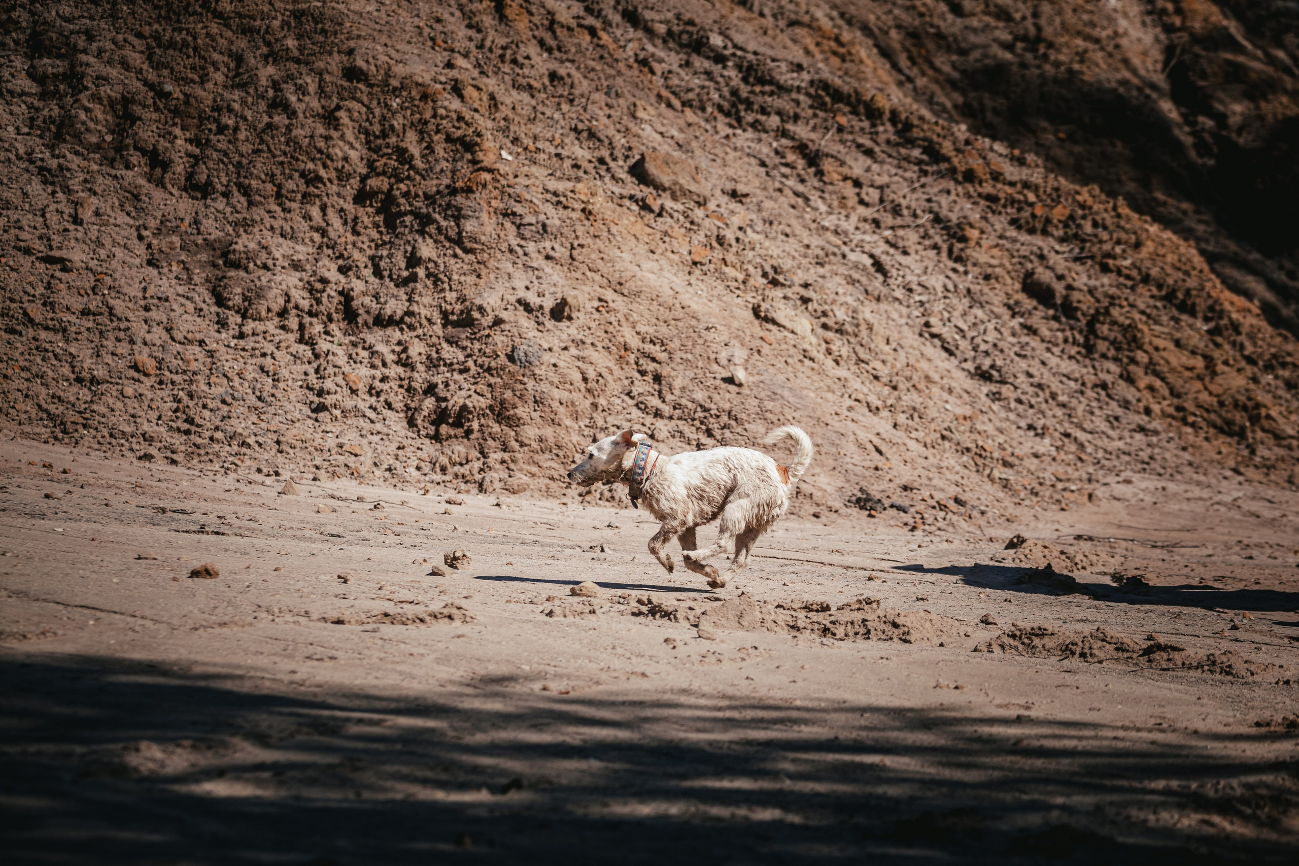 Кондуки. Фотограф-анималист Татьяна Степанова