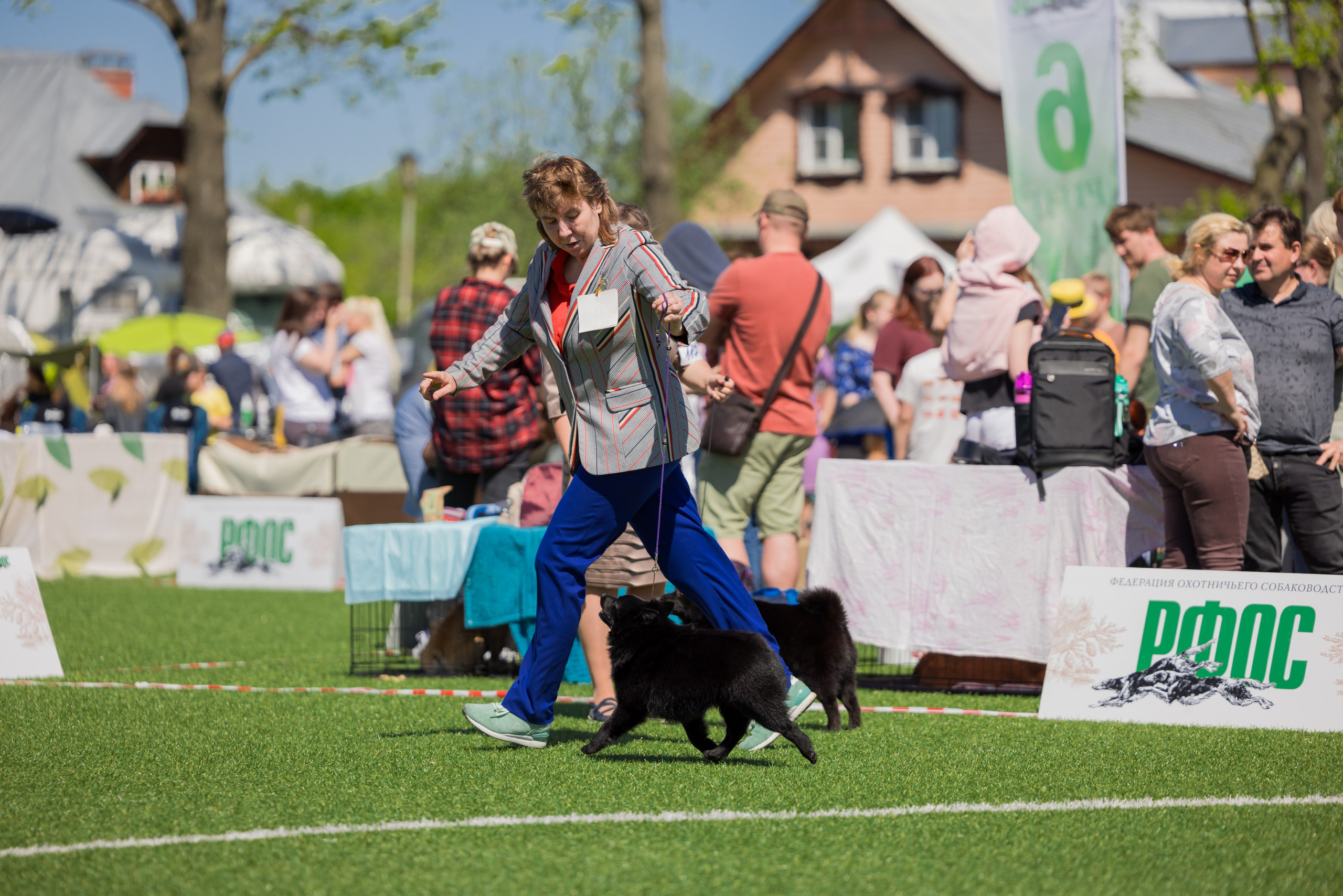 Суздаль 18-19.05.2024. Фотограф-анималист Юлия Германика