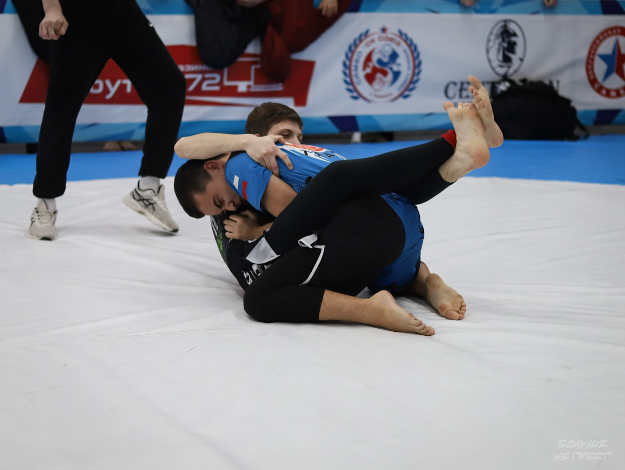 GORILLA PRIDE CUP. Больше не греет