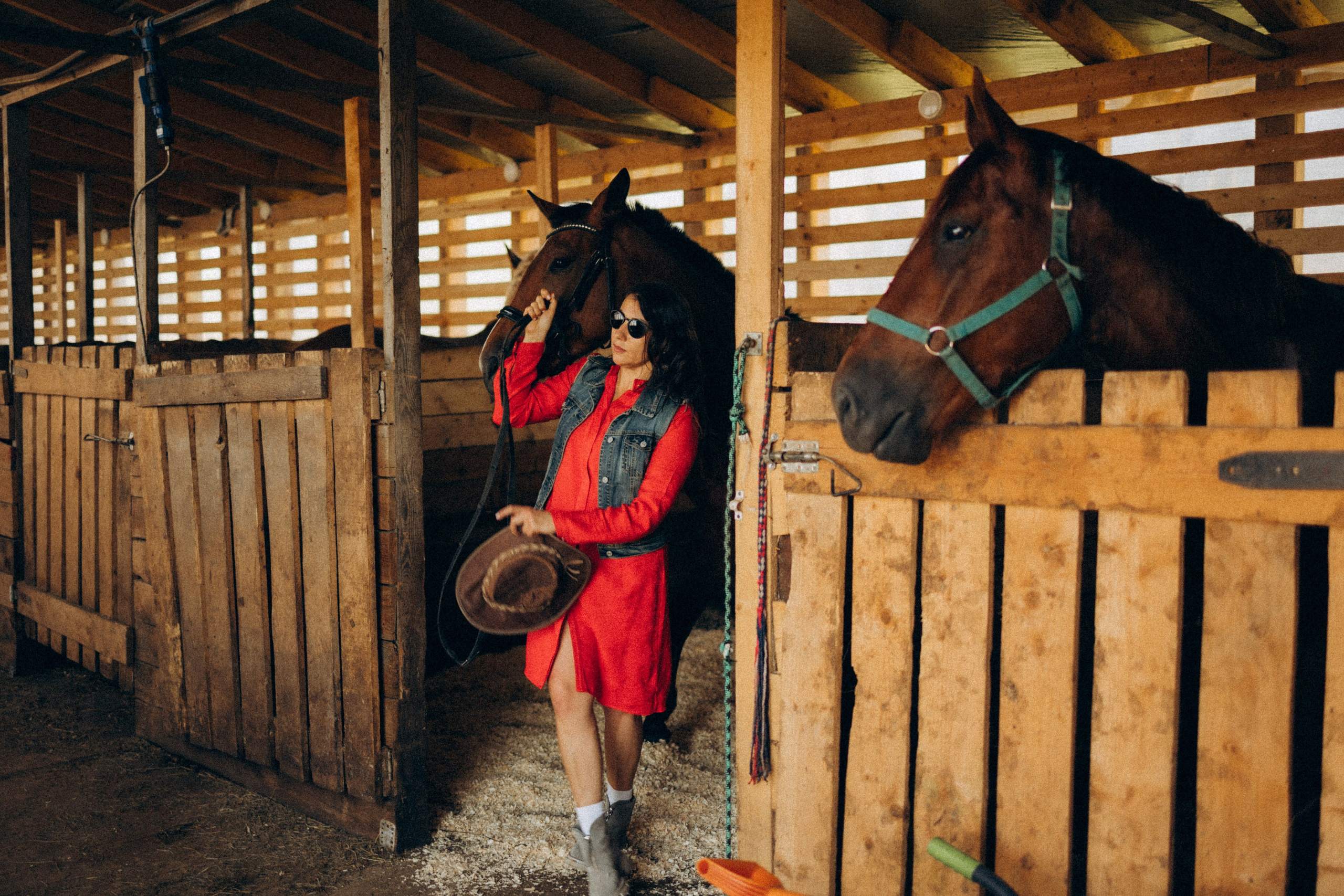 А в деревни лошади. Фотограф Москва Светлана Кирюшина
