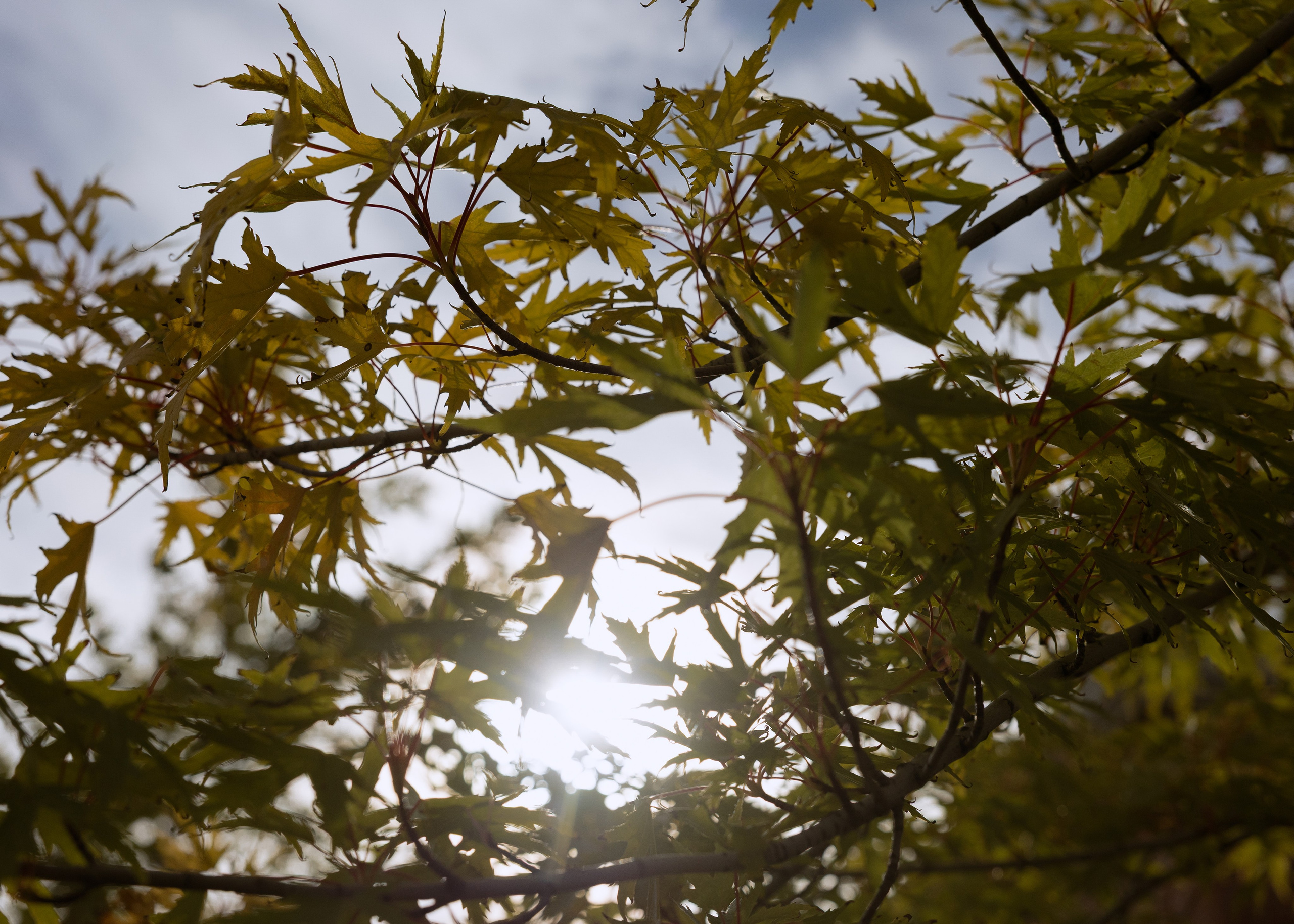 Виталий и Анна. Фотограф Эмиль Исякаев
