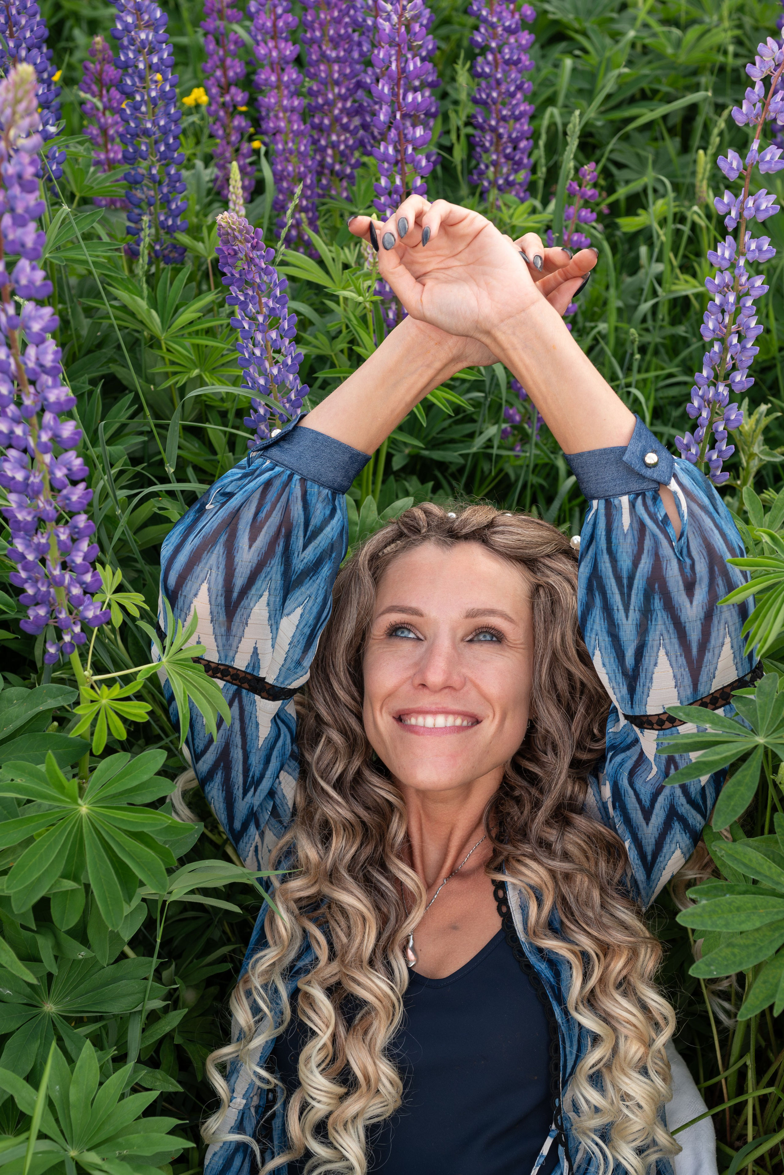 Люпины. Светлана Агалакова Фотограф