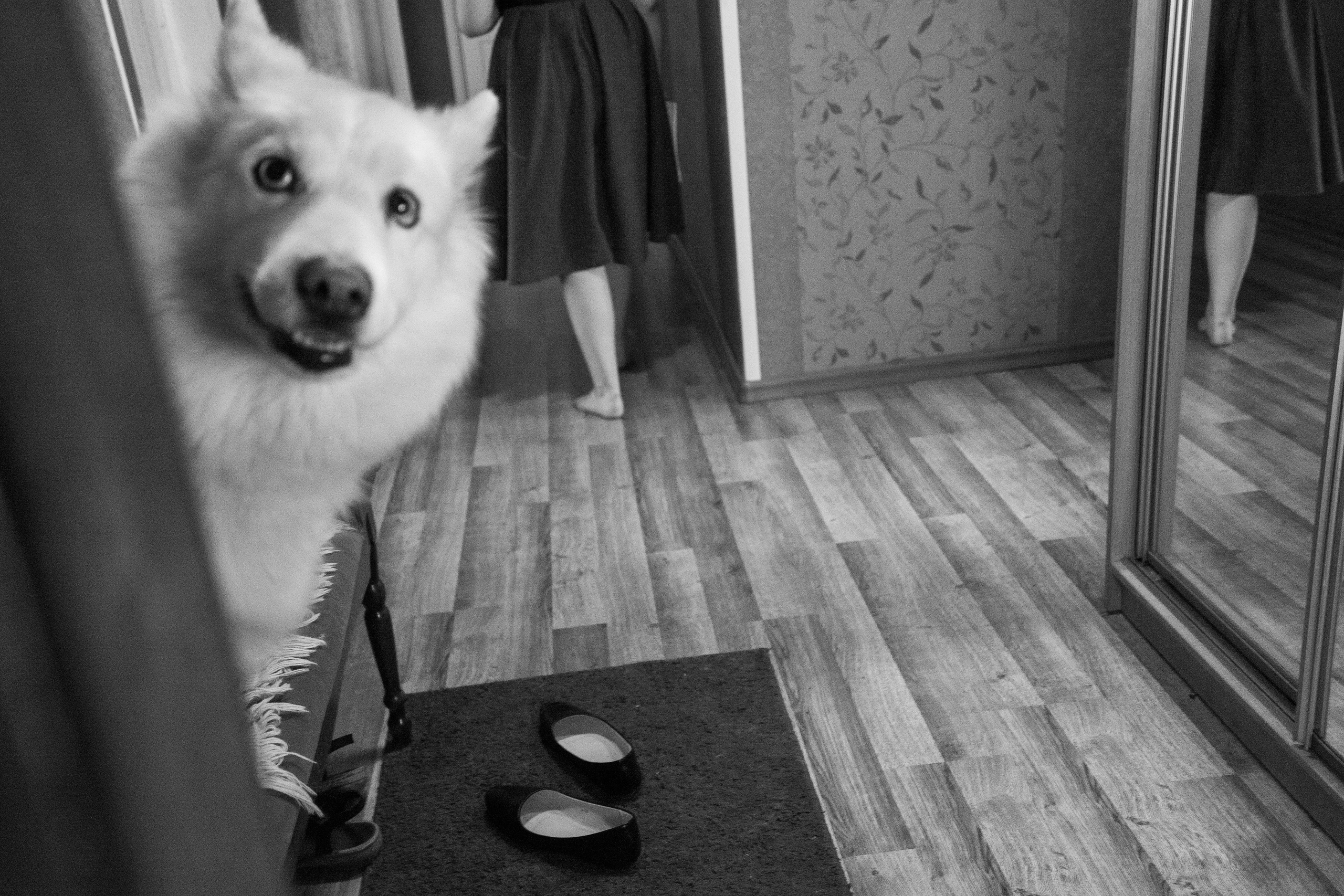 По классике. Семейные фотосессии и свадьбы в Краснотурьинске