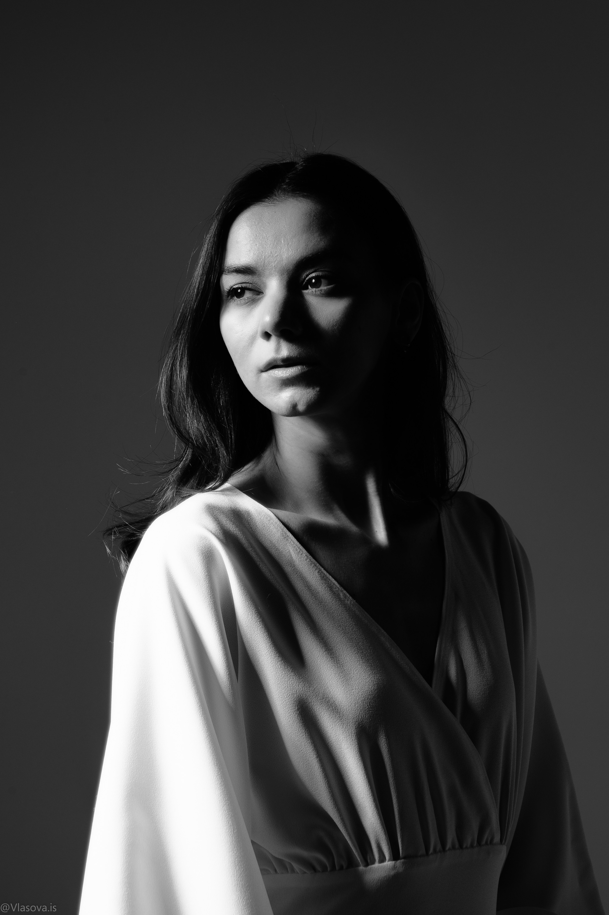 шикарный портрет очень красивая женщина