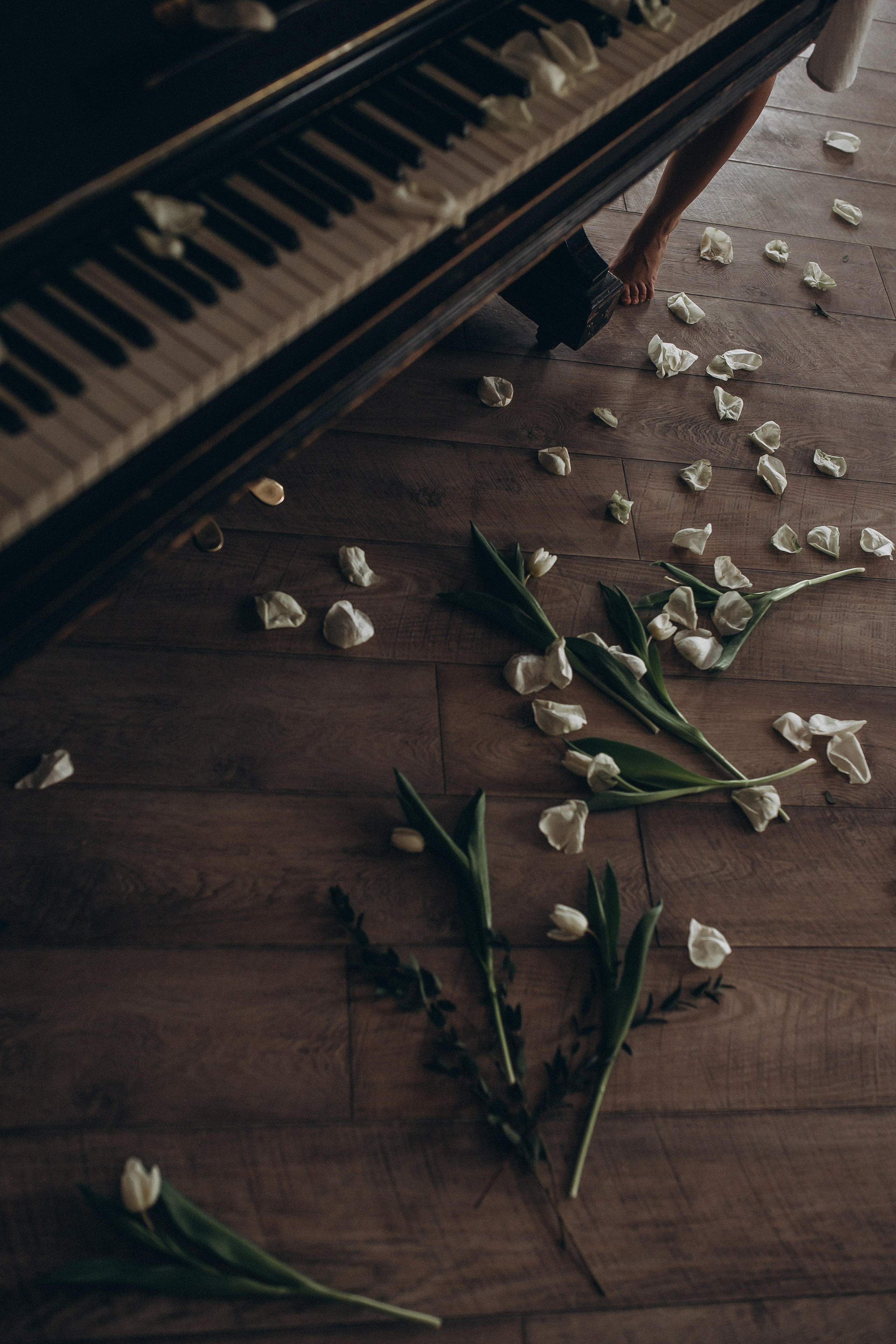 Маша & Даша. Свадебный и семейный фотограф в Перми Дарья Алекс