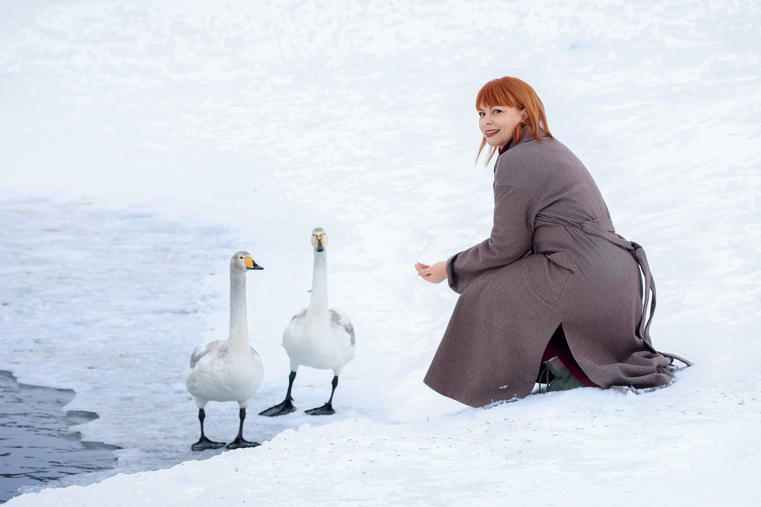 Лебединое озеро. Сказочный фотограф фотопроекты фототуры в Новосибирске и на Алтае
