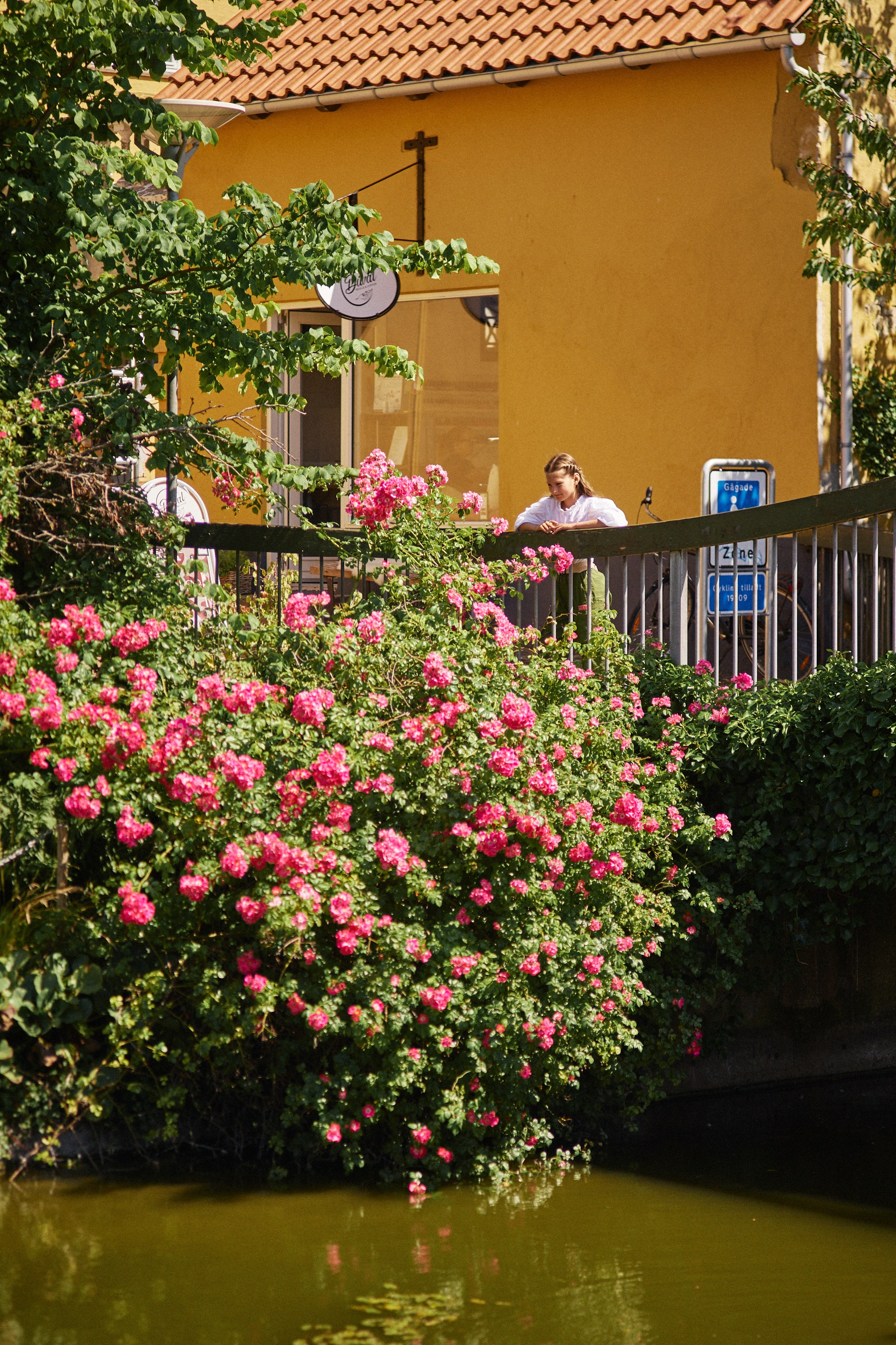 Frederiksværk i juni. Vutitsa