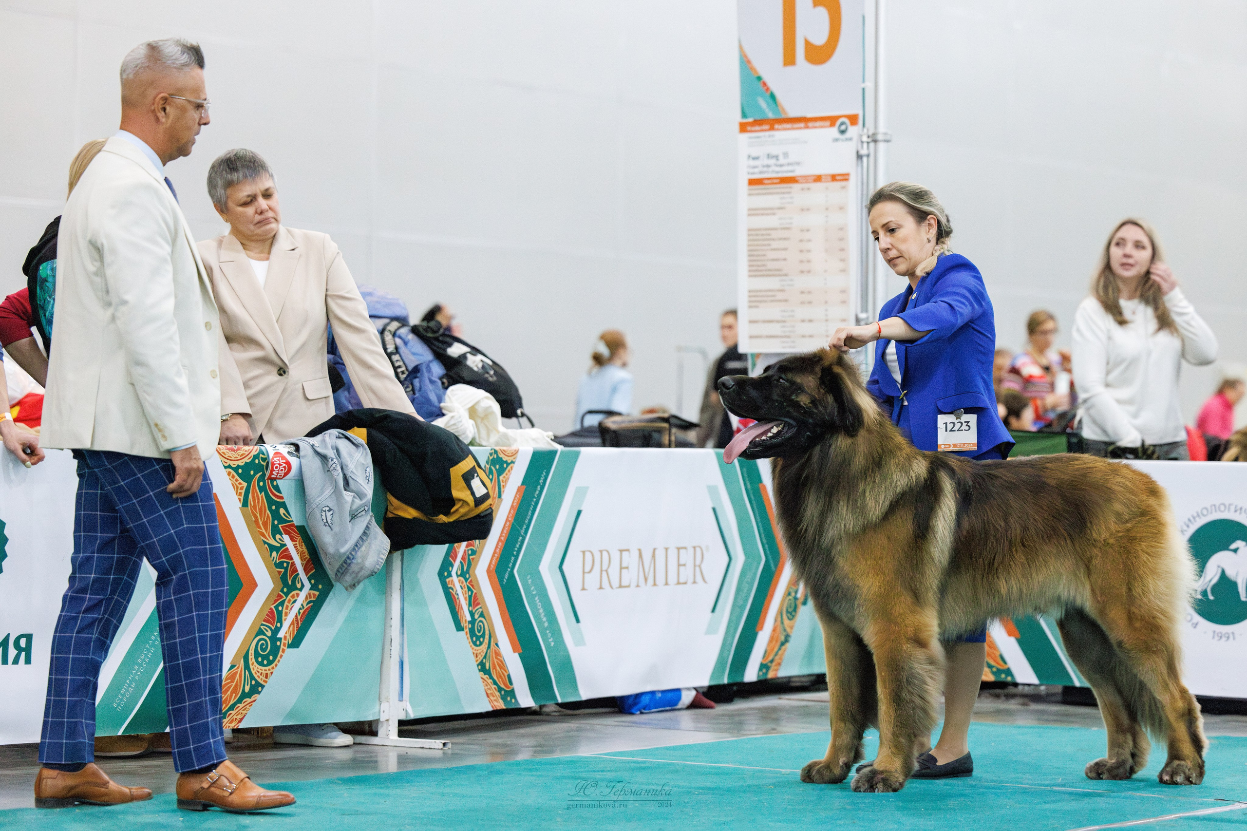 Евразия 16-17.11.2024. Фотограф-анималист Юлия Германика