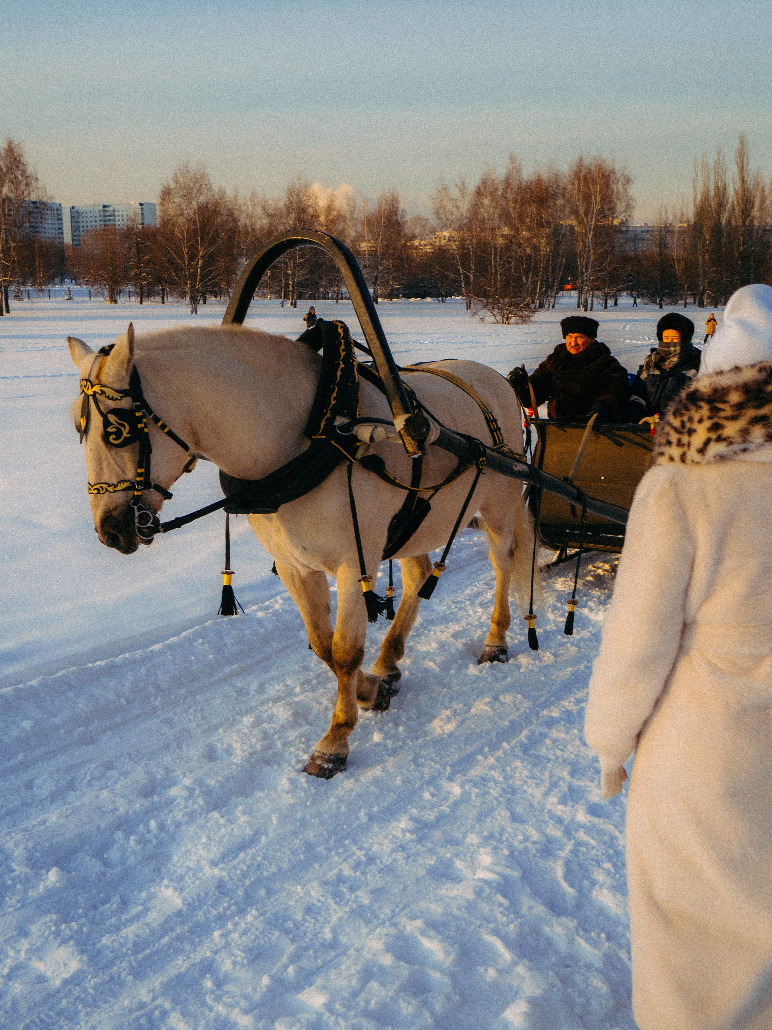 День рождения. Фёдор Малюгин. Ваш бади в визуале
