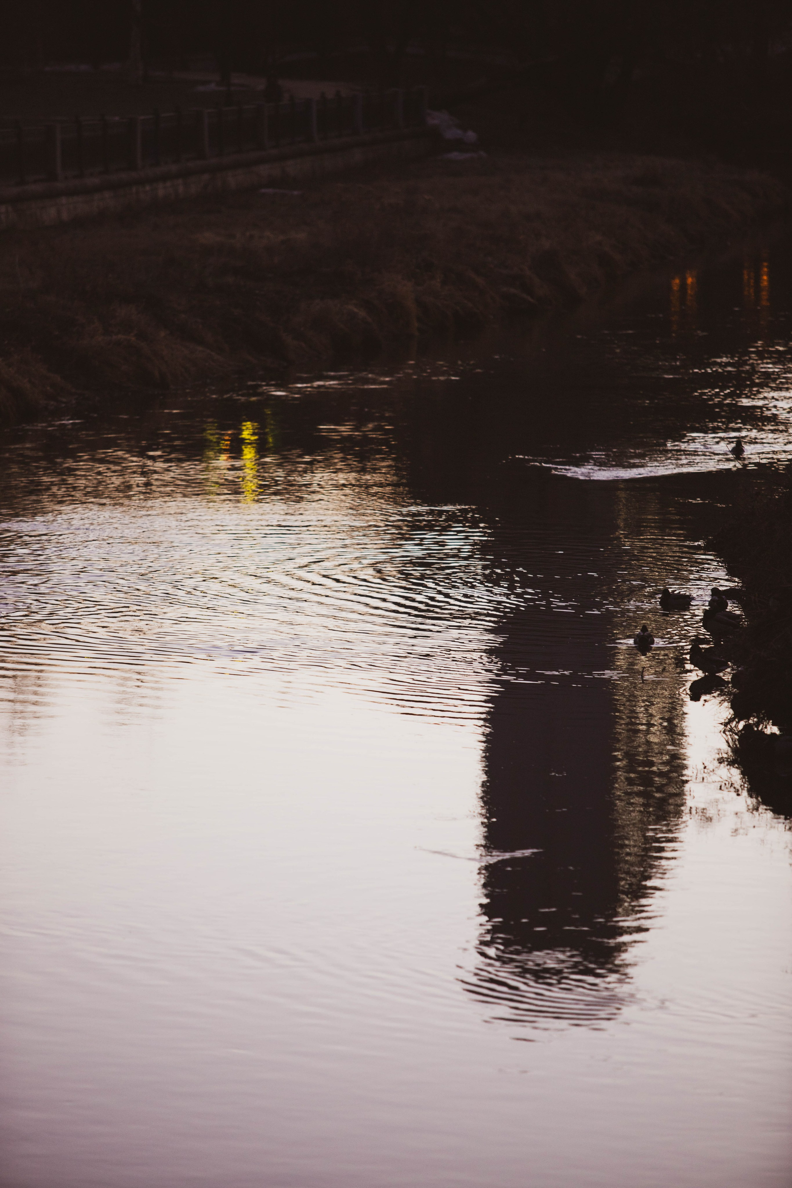 Ростокинский Акведук. Александра Мельниченко/ Бегающий фотограф