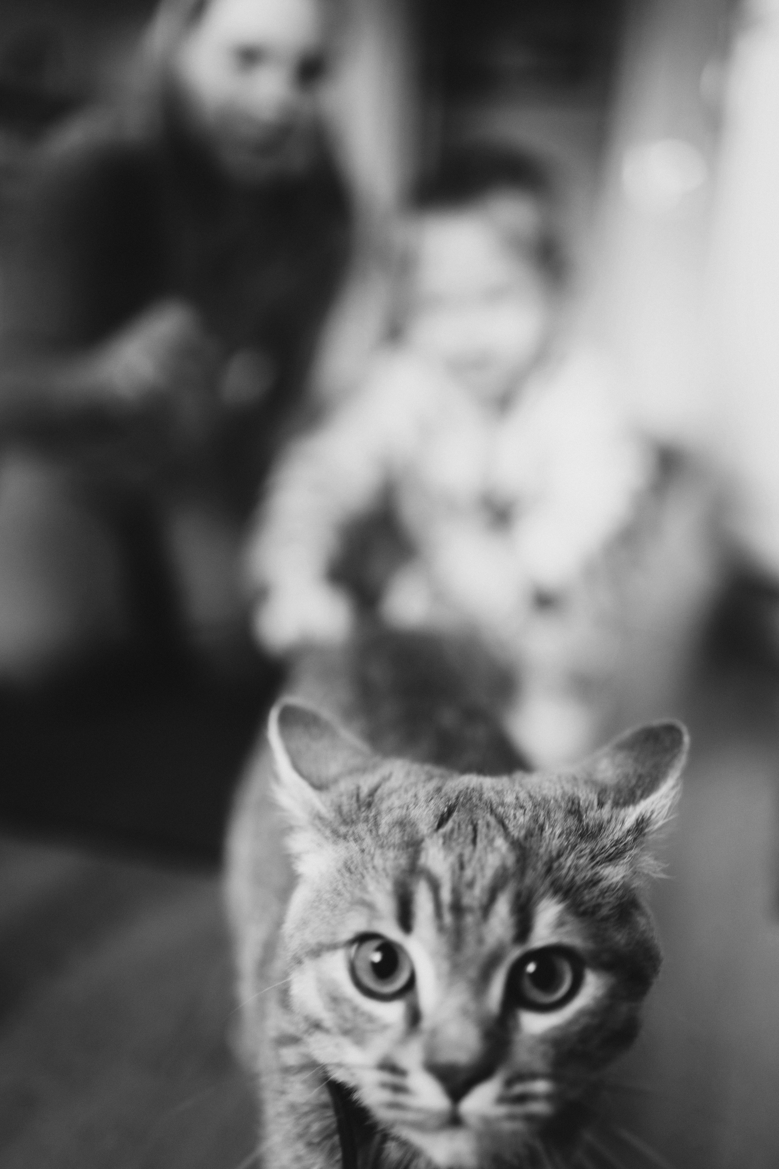 Ирина, Илья и Артём