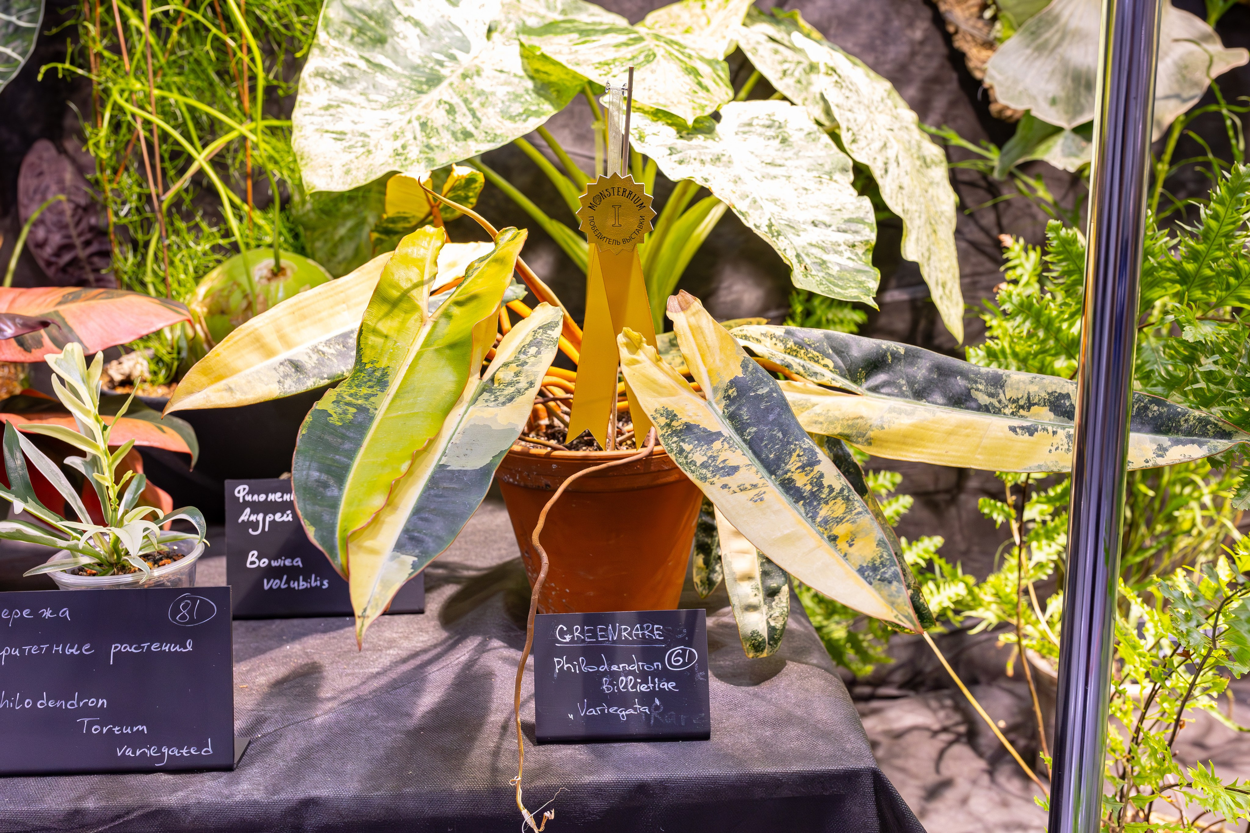 Монстериум 11–12 октября. Александра Куликова фотограф, Москва