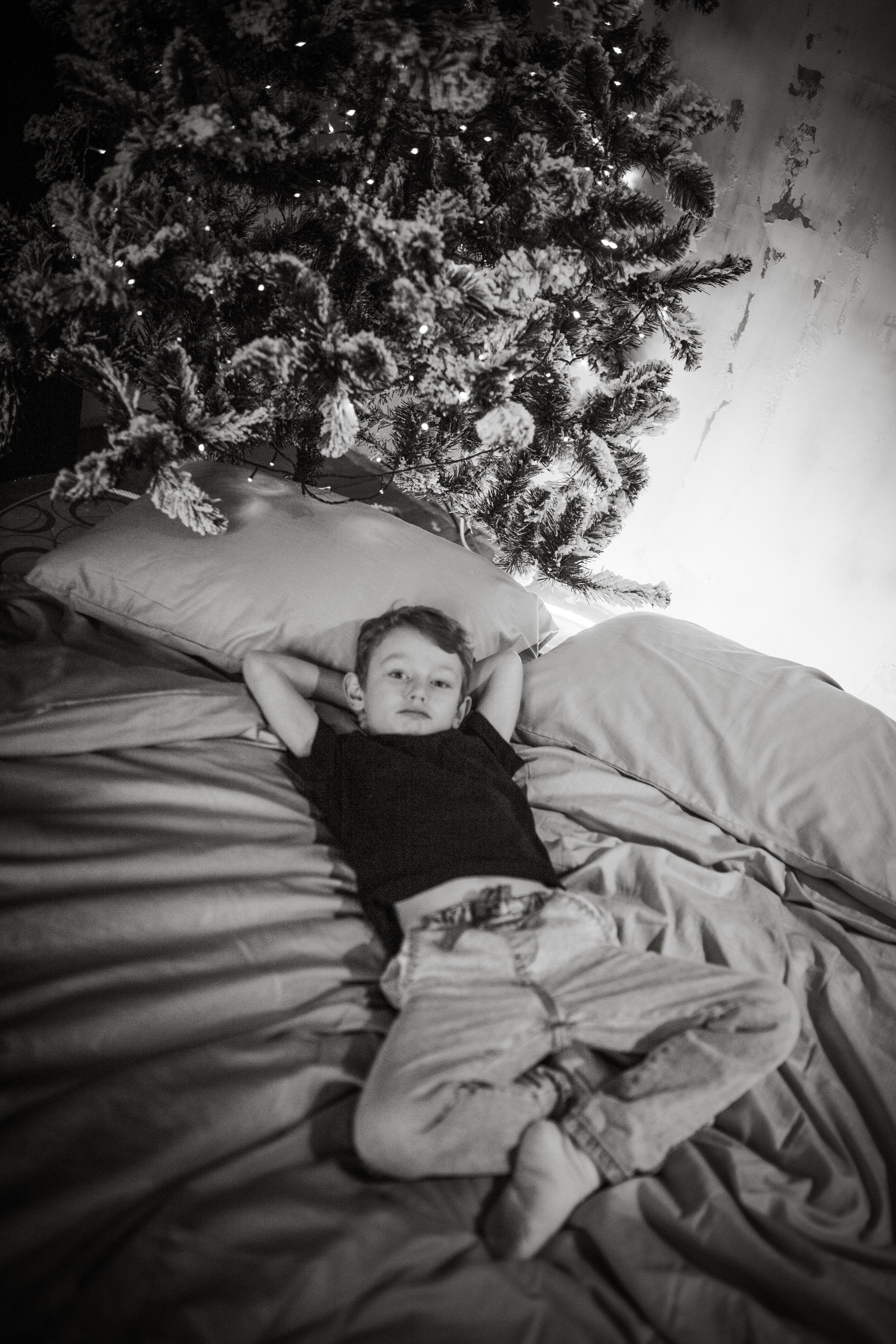 Новогодние. Фотограф Оксана Мамукаева г. Владикавказ