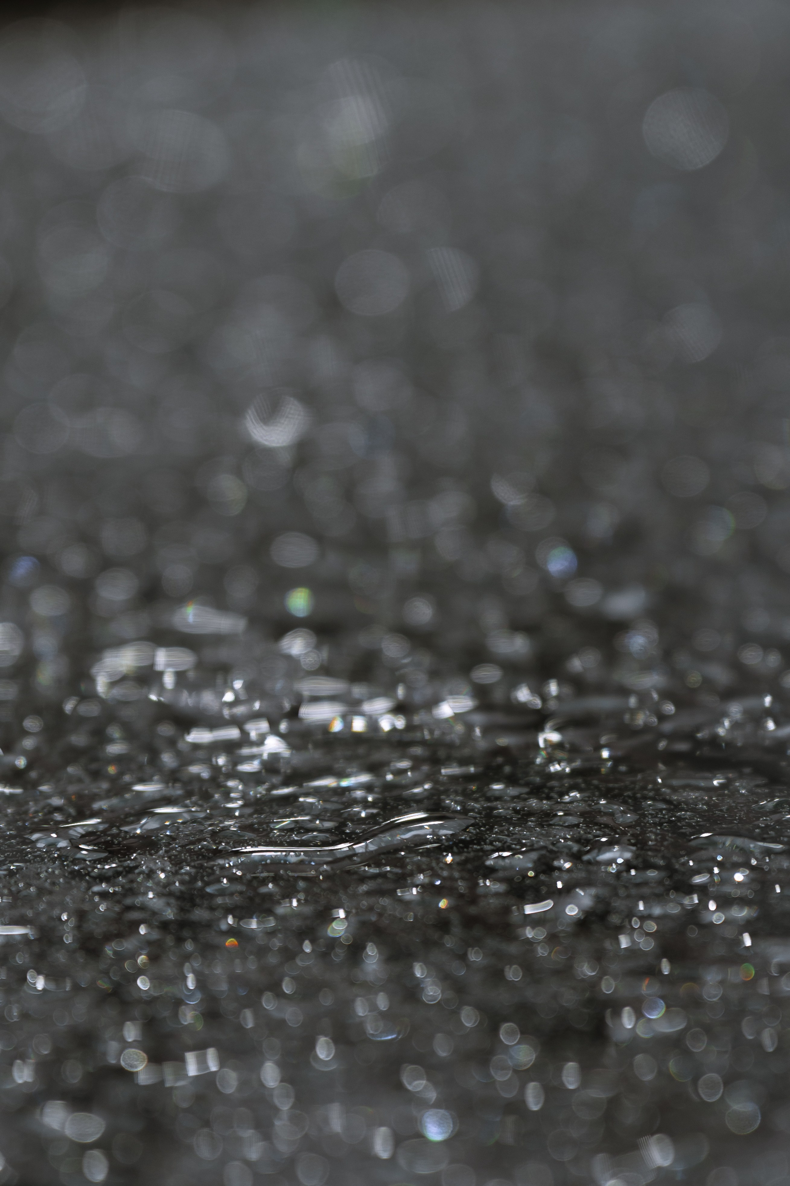 It all starts with love. Свадебный фотограф в Москве Мария Кривоногова