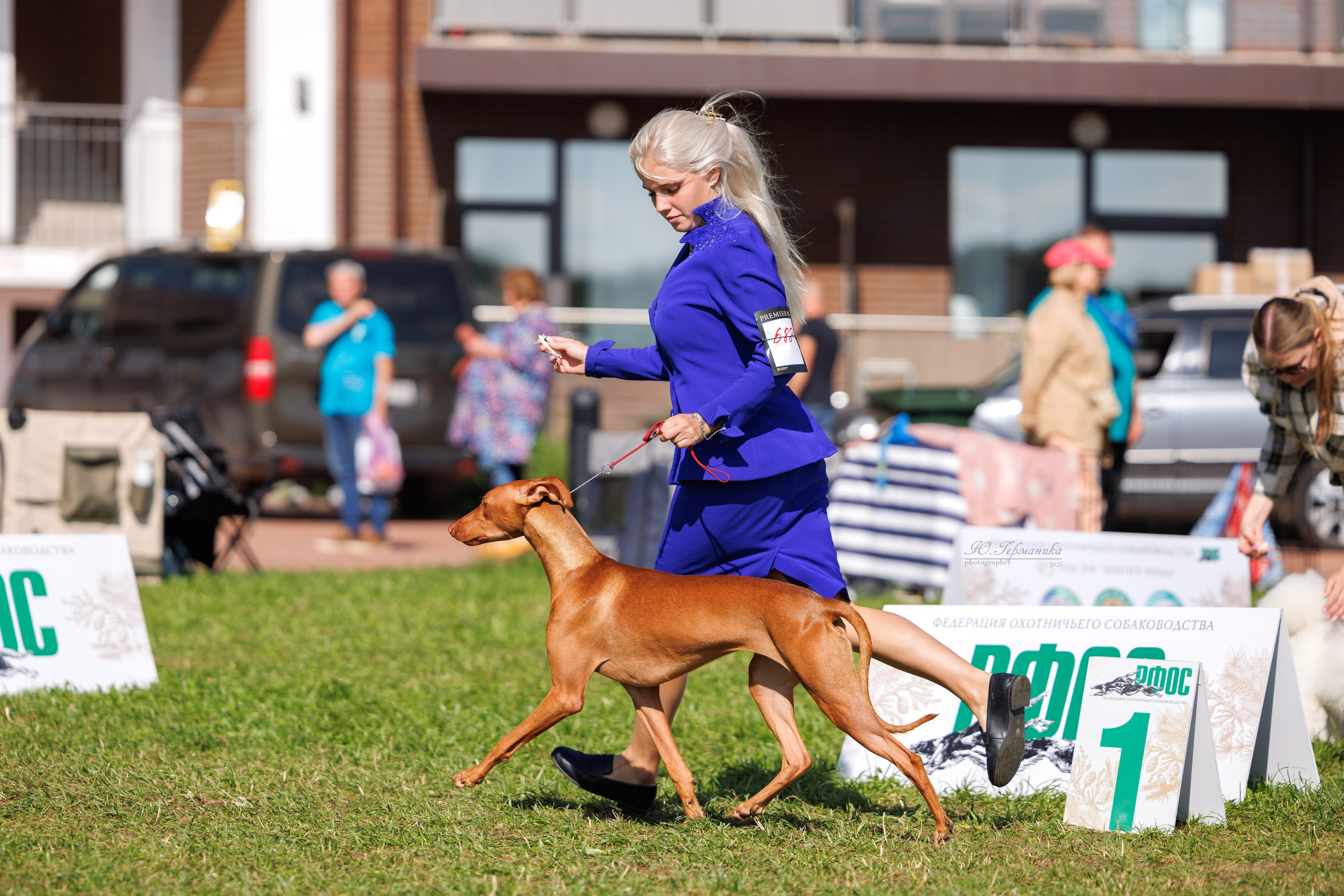 Переславль 5-7.08.2025. Фотограф-анималист Юлия Германика