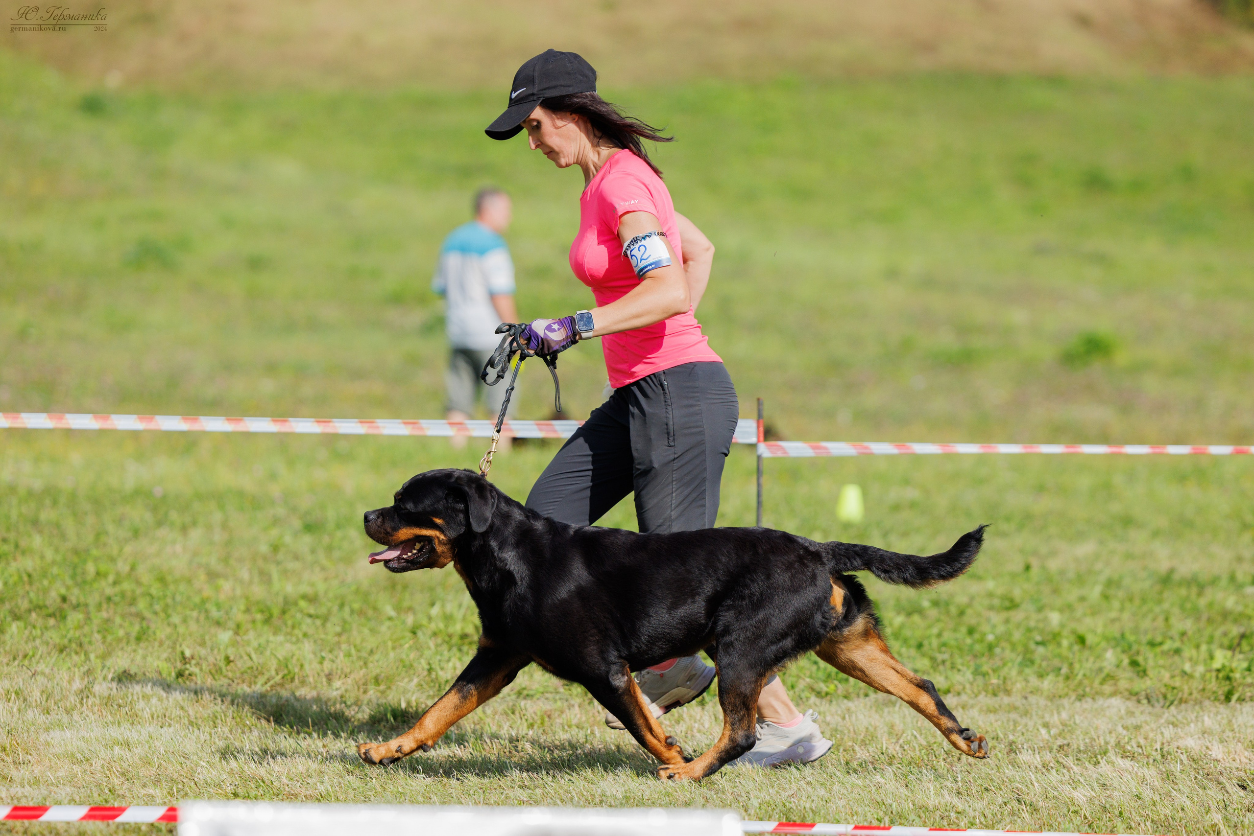 Рязань-Ховрино 10-11.08.2024 3хмоно ротвейлеров. Фотограф-анималист Юлия Германика