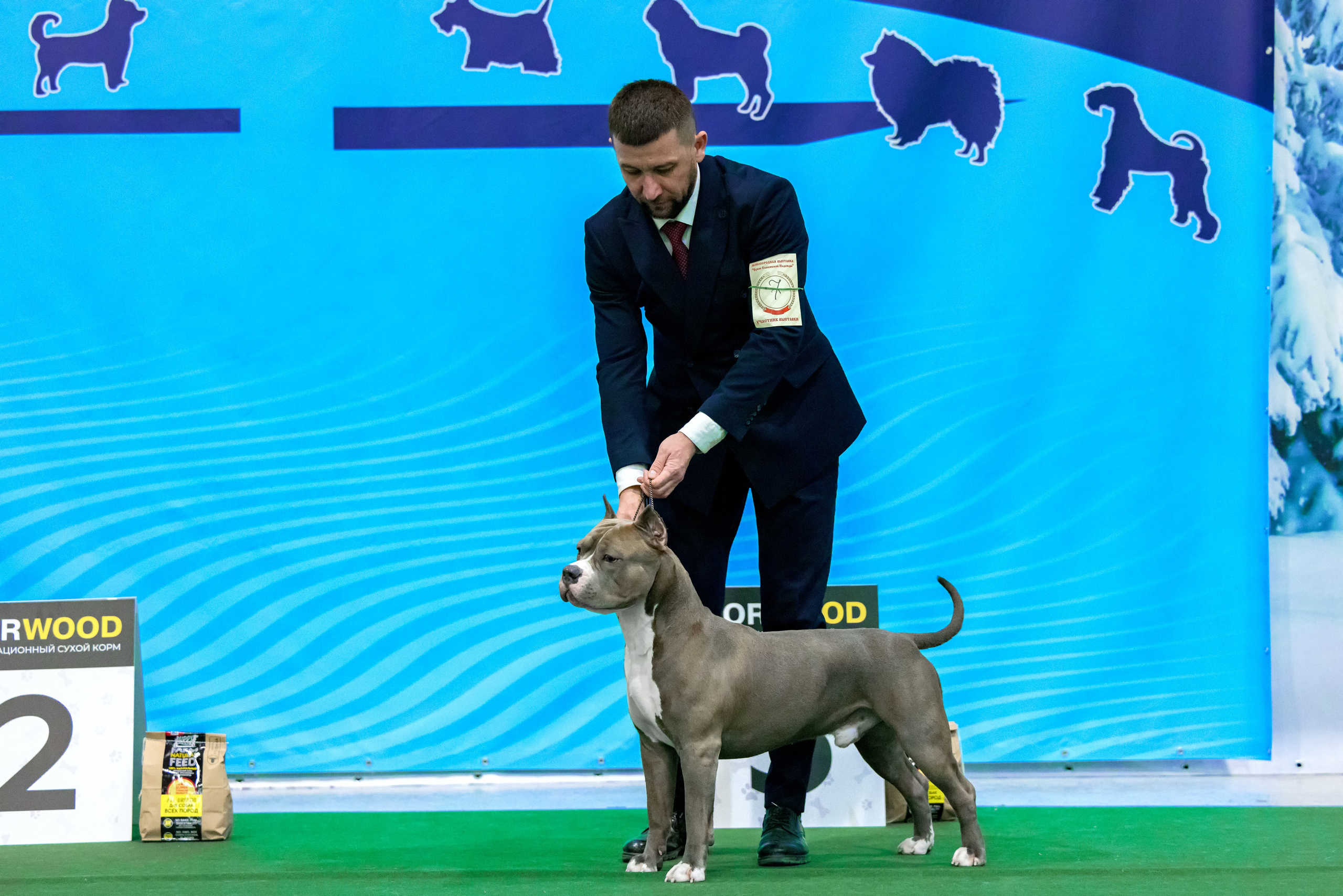 Крокус 3,9 и 10.12.2023. Фотограф-анималист Юлия Германика