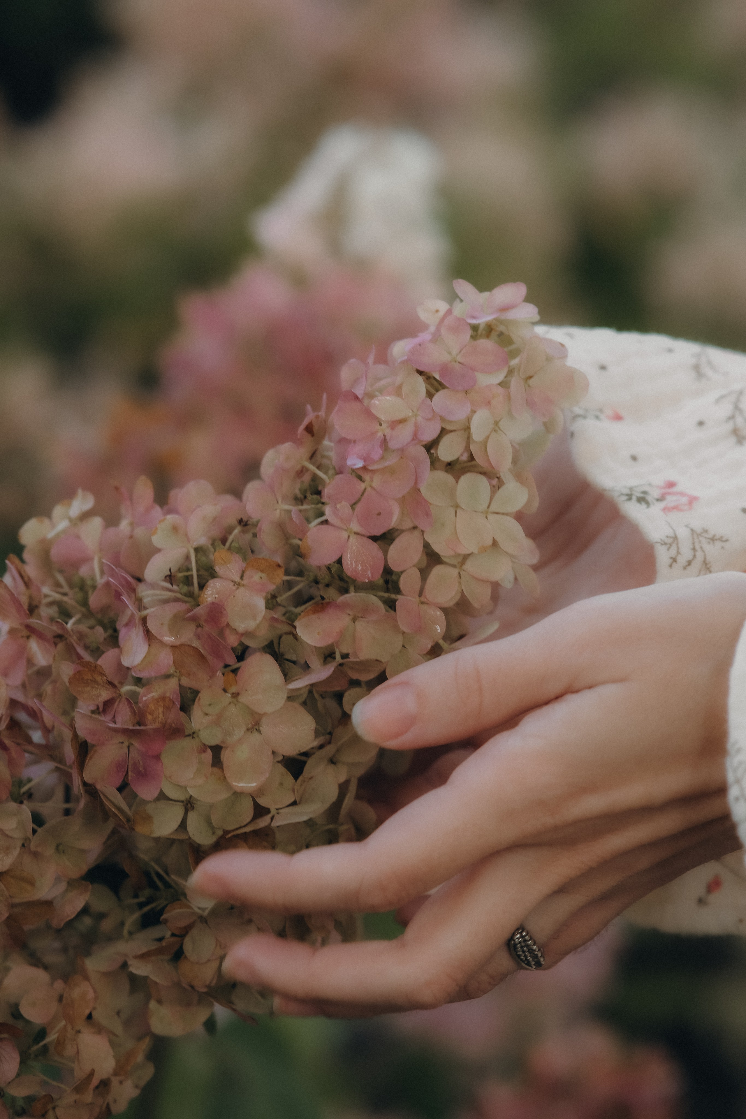 Утро в гортензиях. Свадебный и семейный фотограф в Москве Инника Кетлер