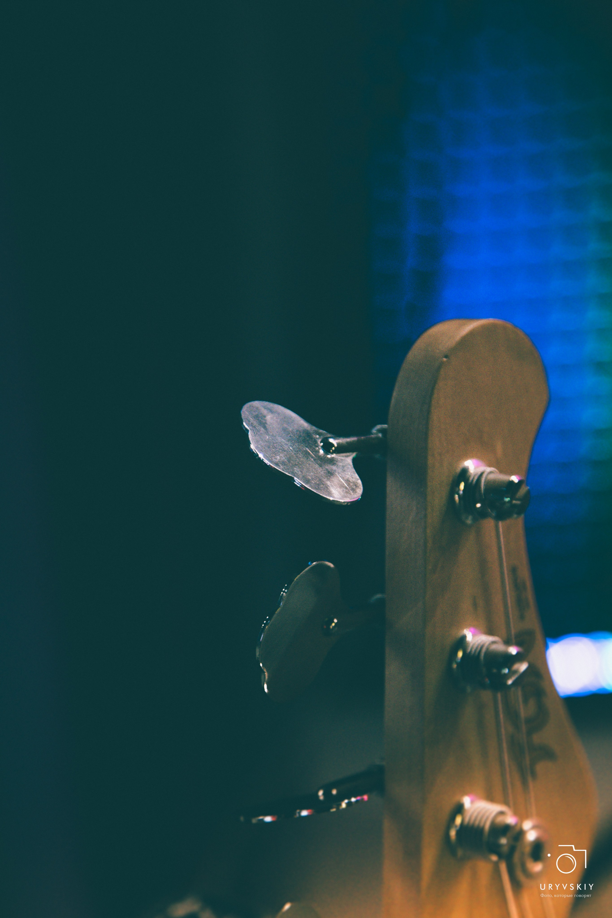 Рок фестиваль «НОВЫЕ фест». Игорь Урывский. Фотограф Красноярск