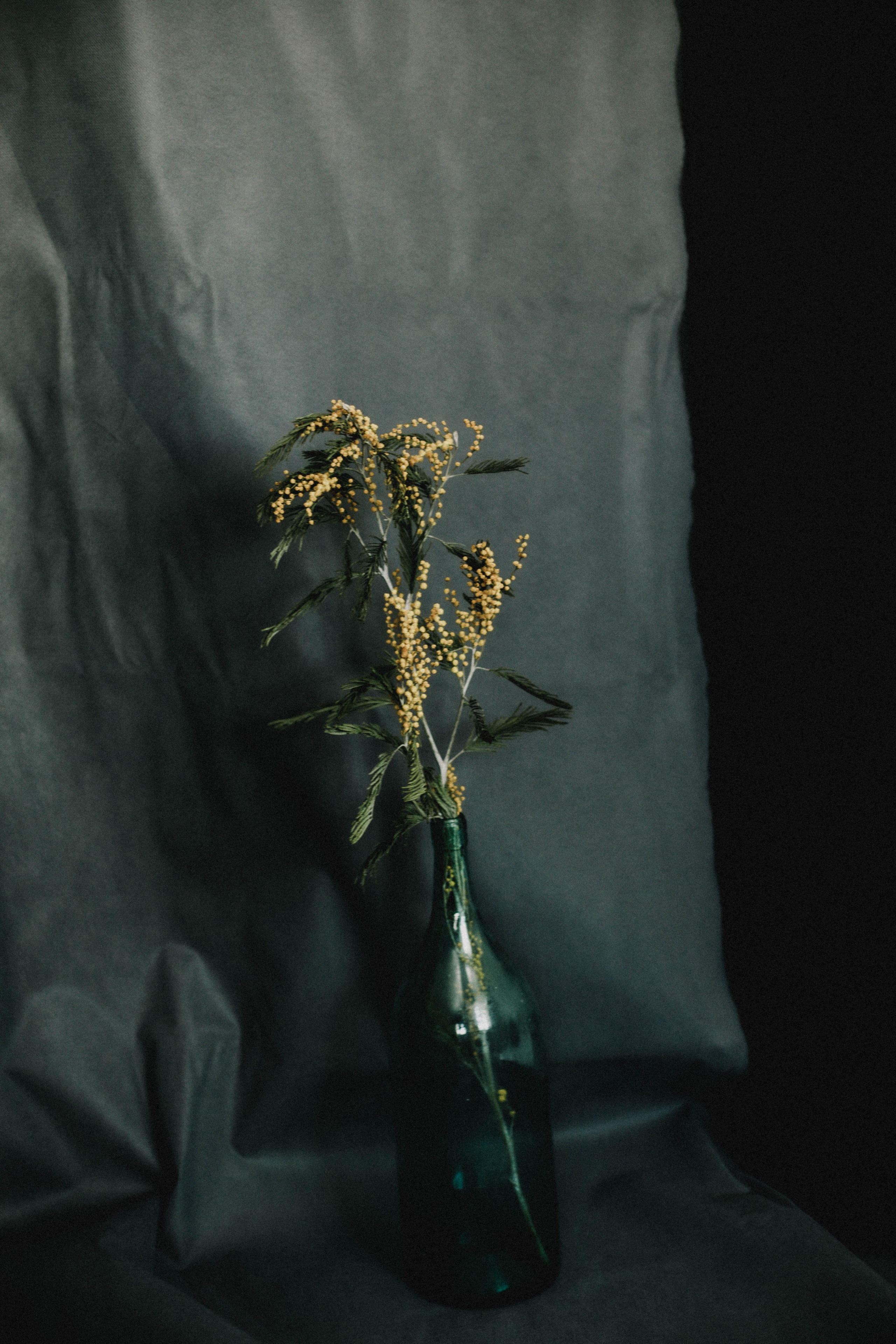 ДОМАшняя фотостудия. Фотограф в Нижнем Новгороде