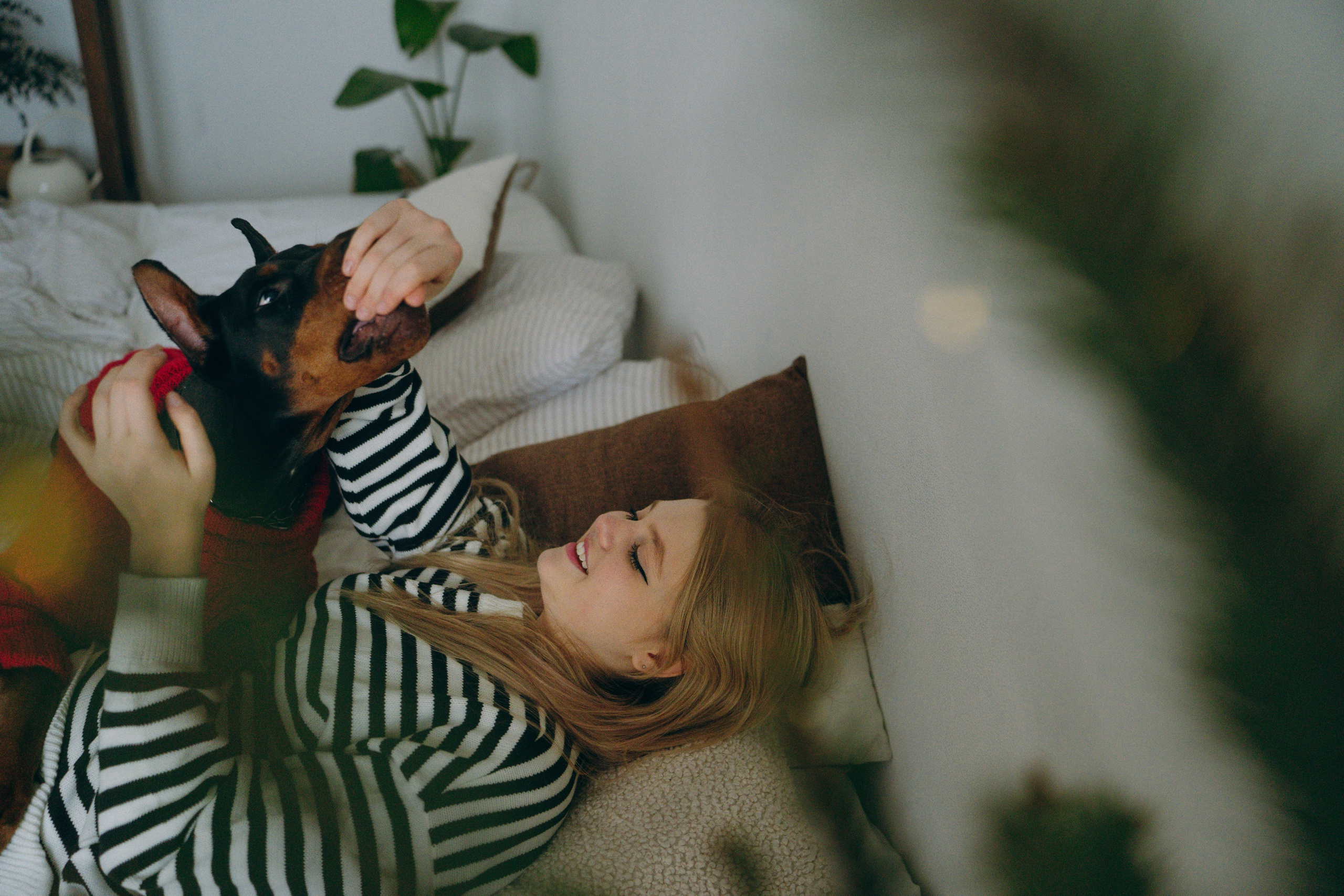 Саша и Асти. Фотограф анималист в Москве и Санкт-Петербурге Свиридова Анна