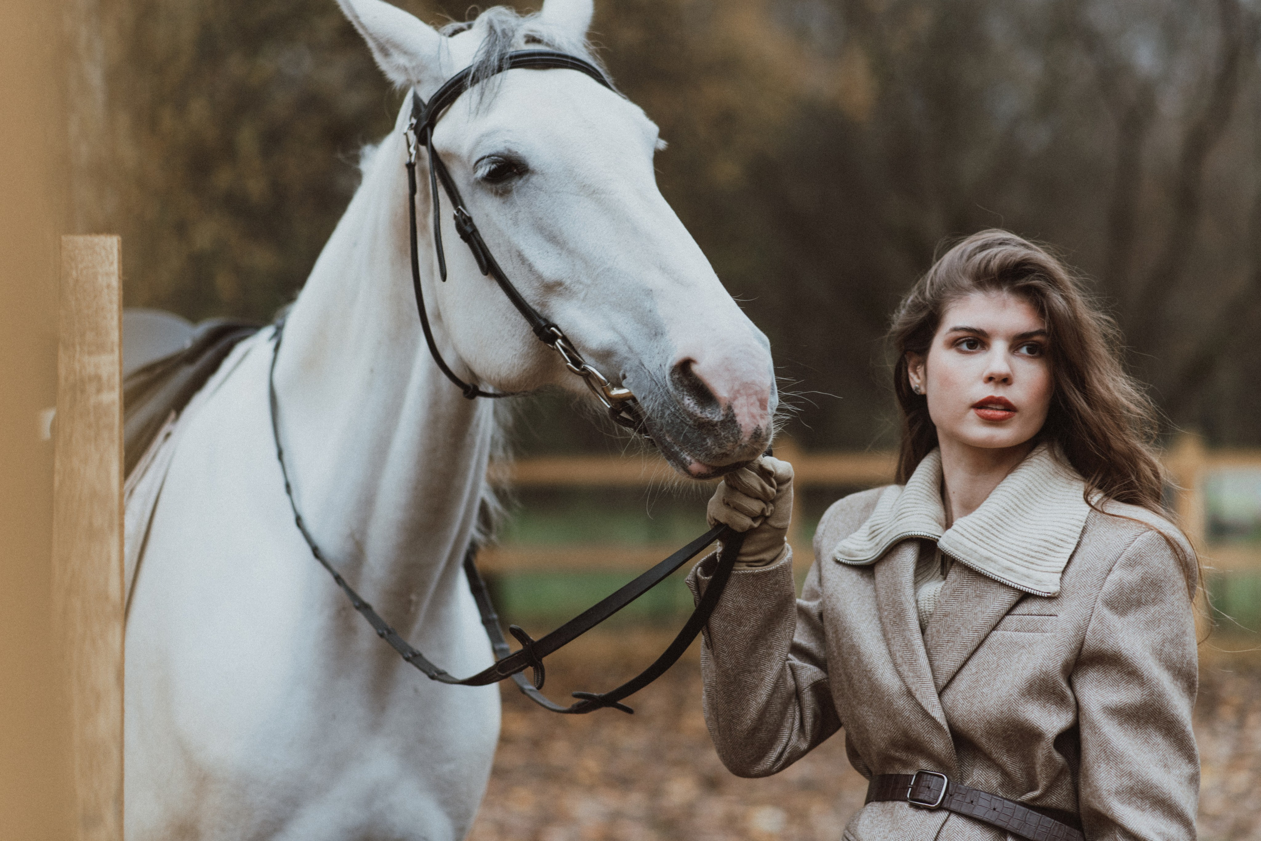 «Осенний ветер и грациозный скакун». Фотограф в Москве/Зарайске Шахова Марина
