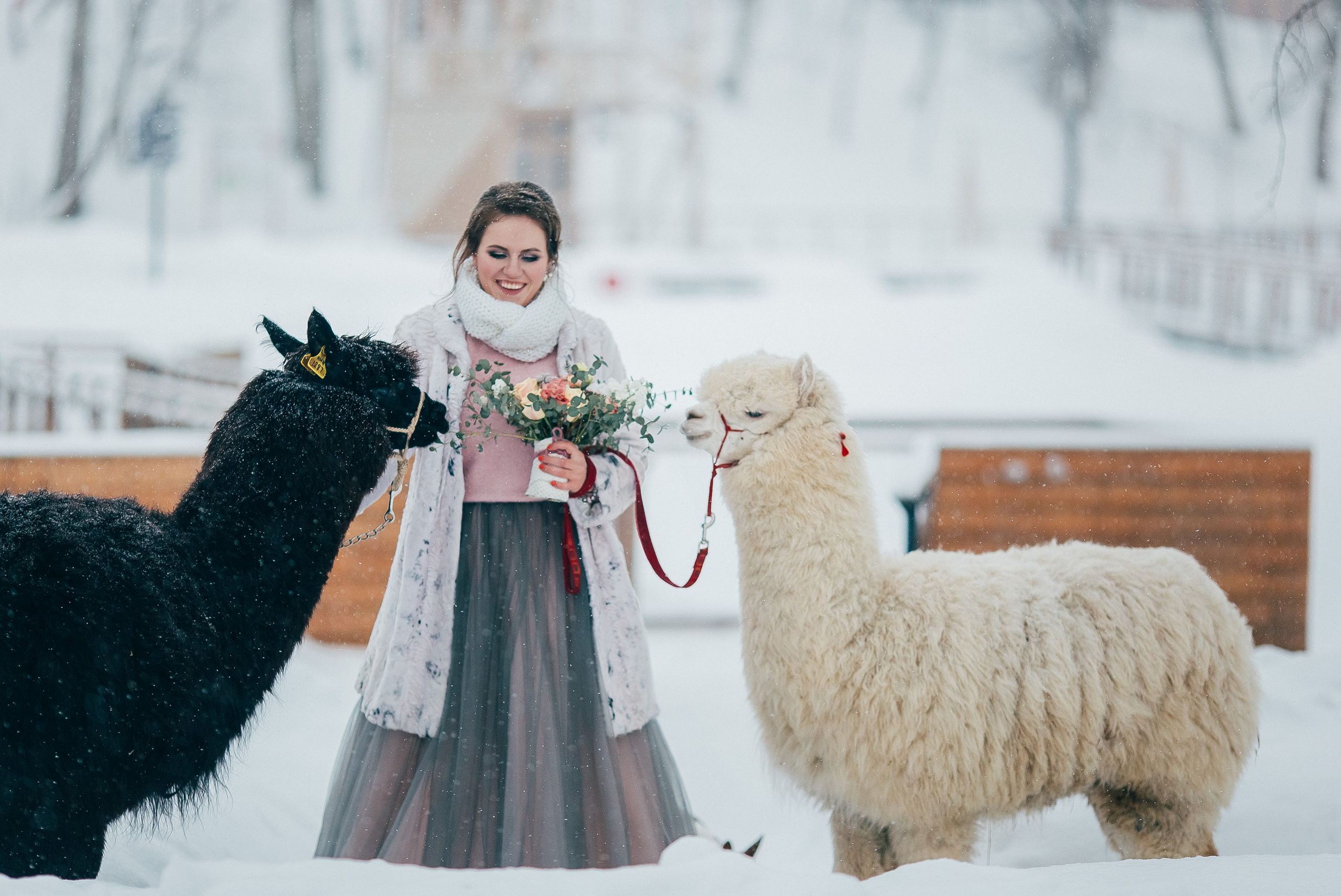 Антон и Анастасия. Свадебный и семейный фотограф Екатерина Бубнова