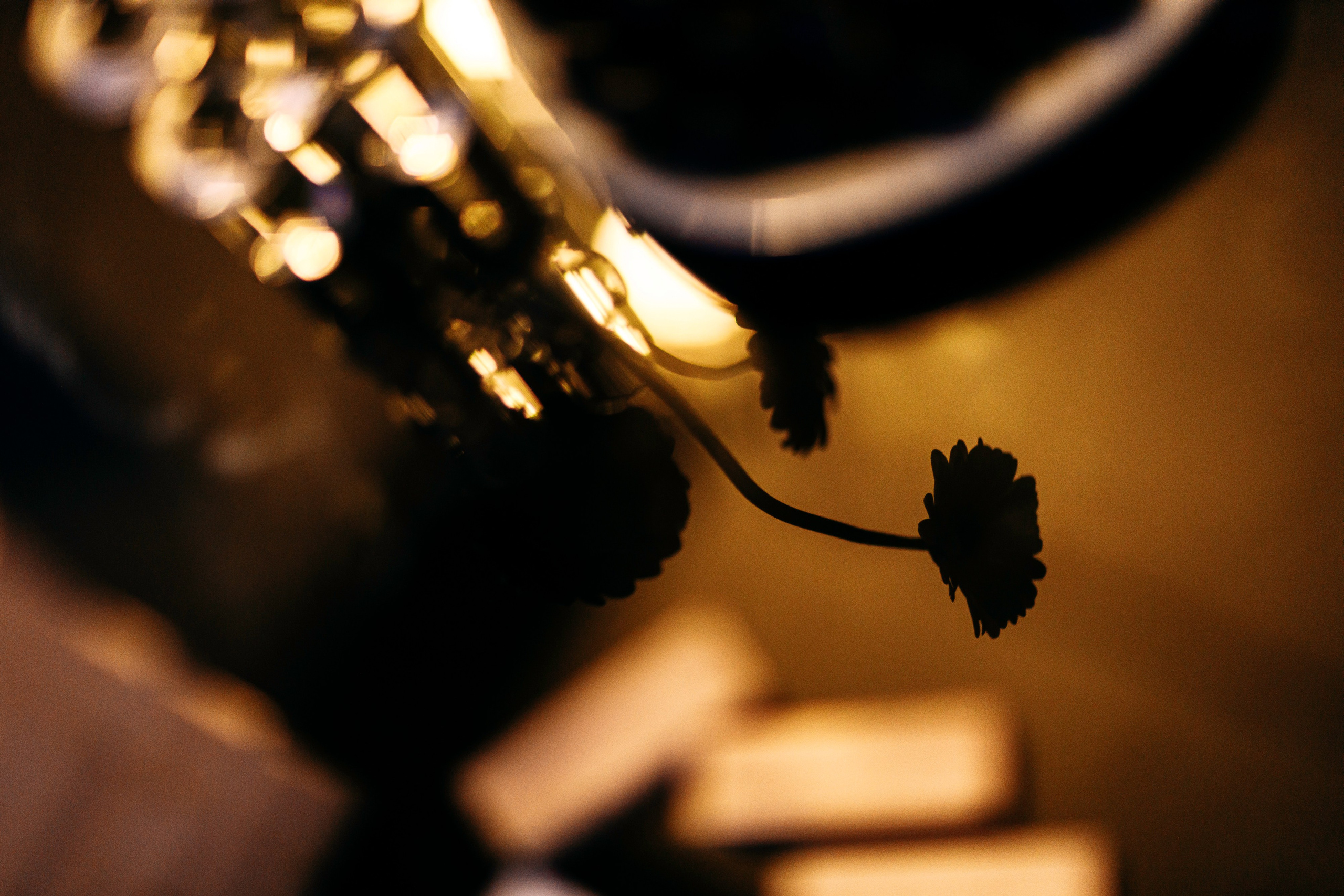 ЦВЕТ СЕЗОНА — РОЗОВЫЙ